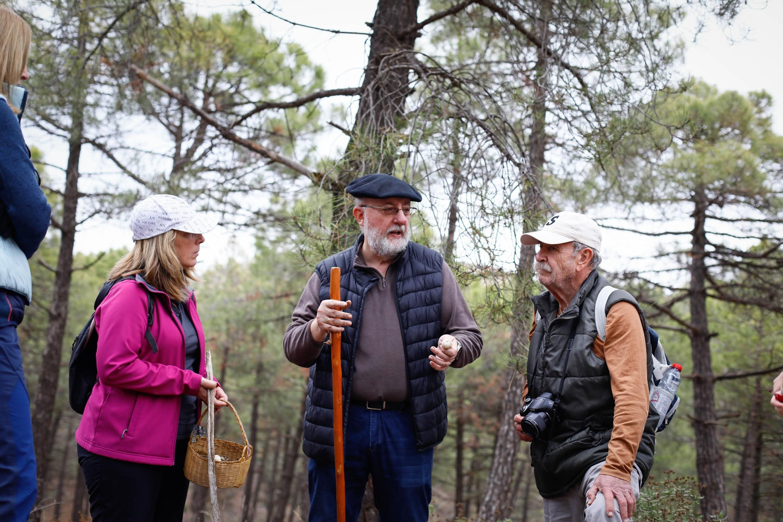 La ruta recolectora de setas en Abla por las XIX Jornadas Micológicas, en imágenes