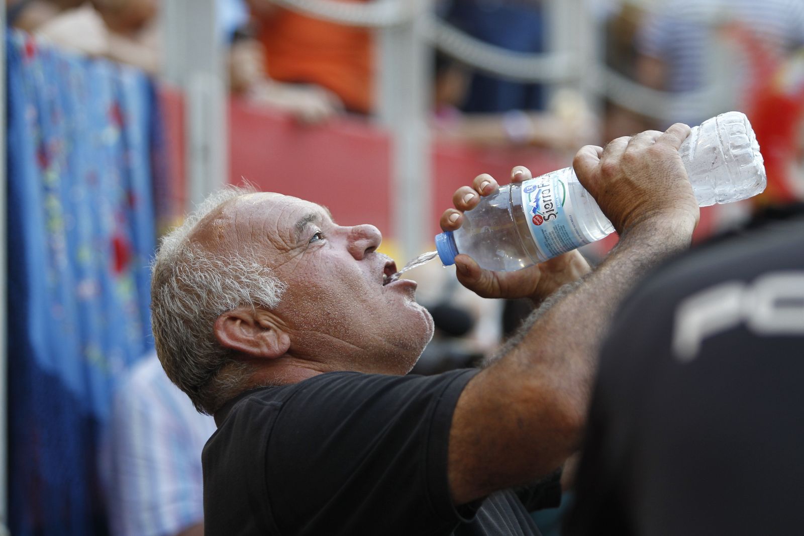 Fotogalería corrida de rejones. Feria de Almería 2019