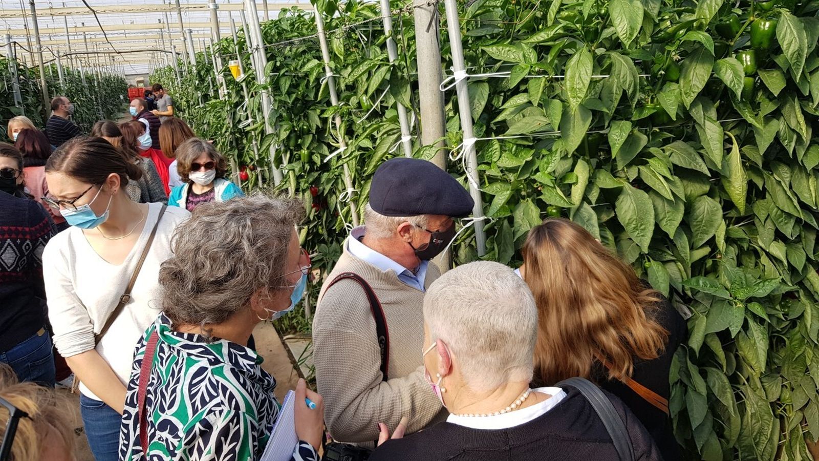 Visita de alumnos de Planet A a Bioline Iberia
