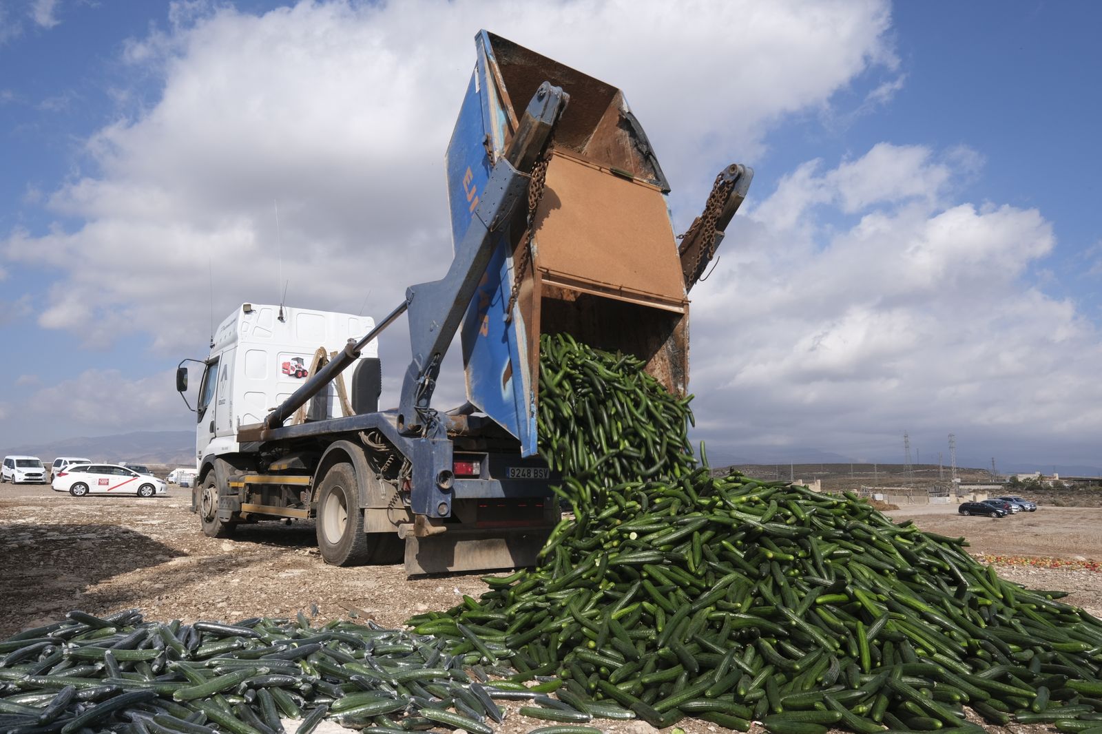 Fotogalería destrucción de pepinos en Almería