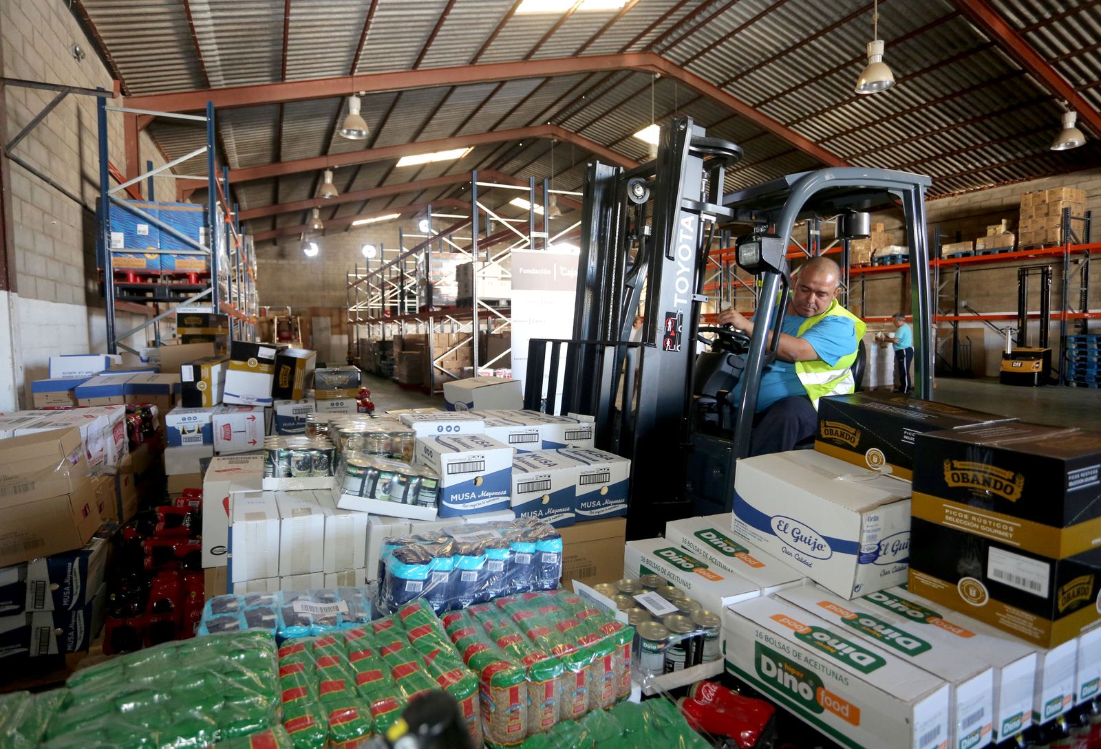 Las imágenes del Reparto de alimentos a entidades sociales del Banco de Alimentos y la Fundación Cajasol