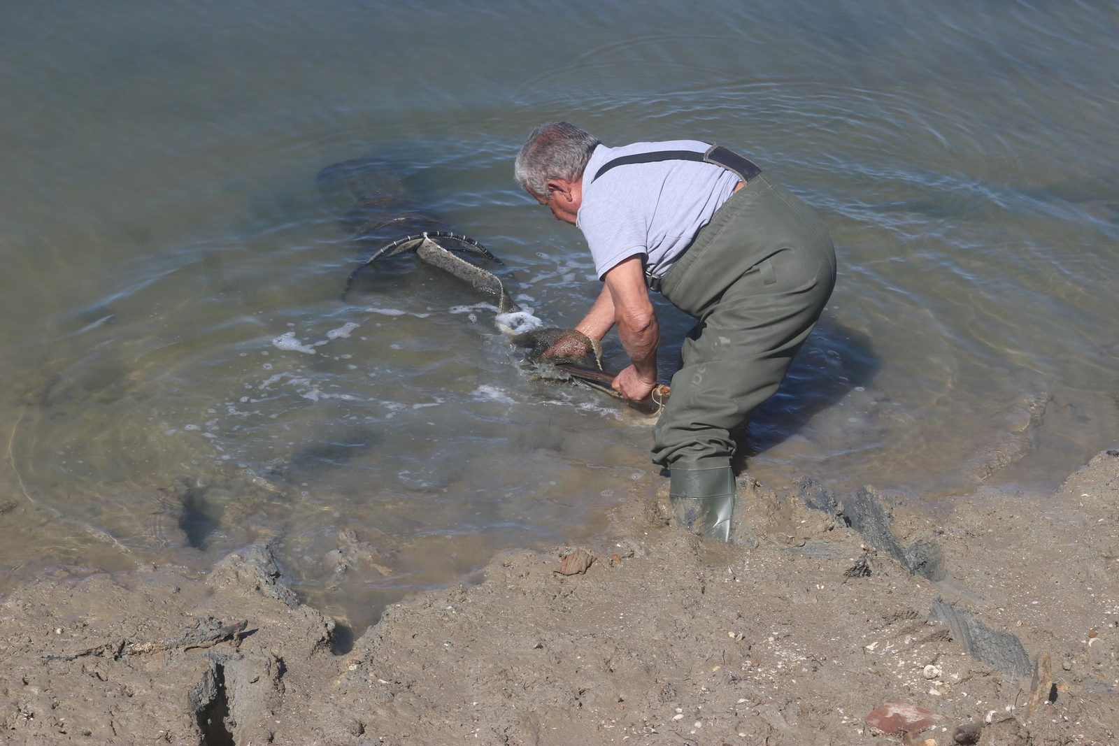 Chefs for children en Balbanera