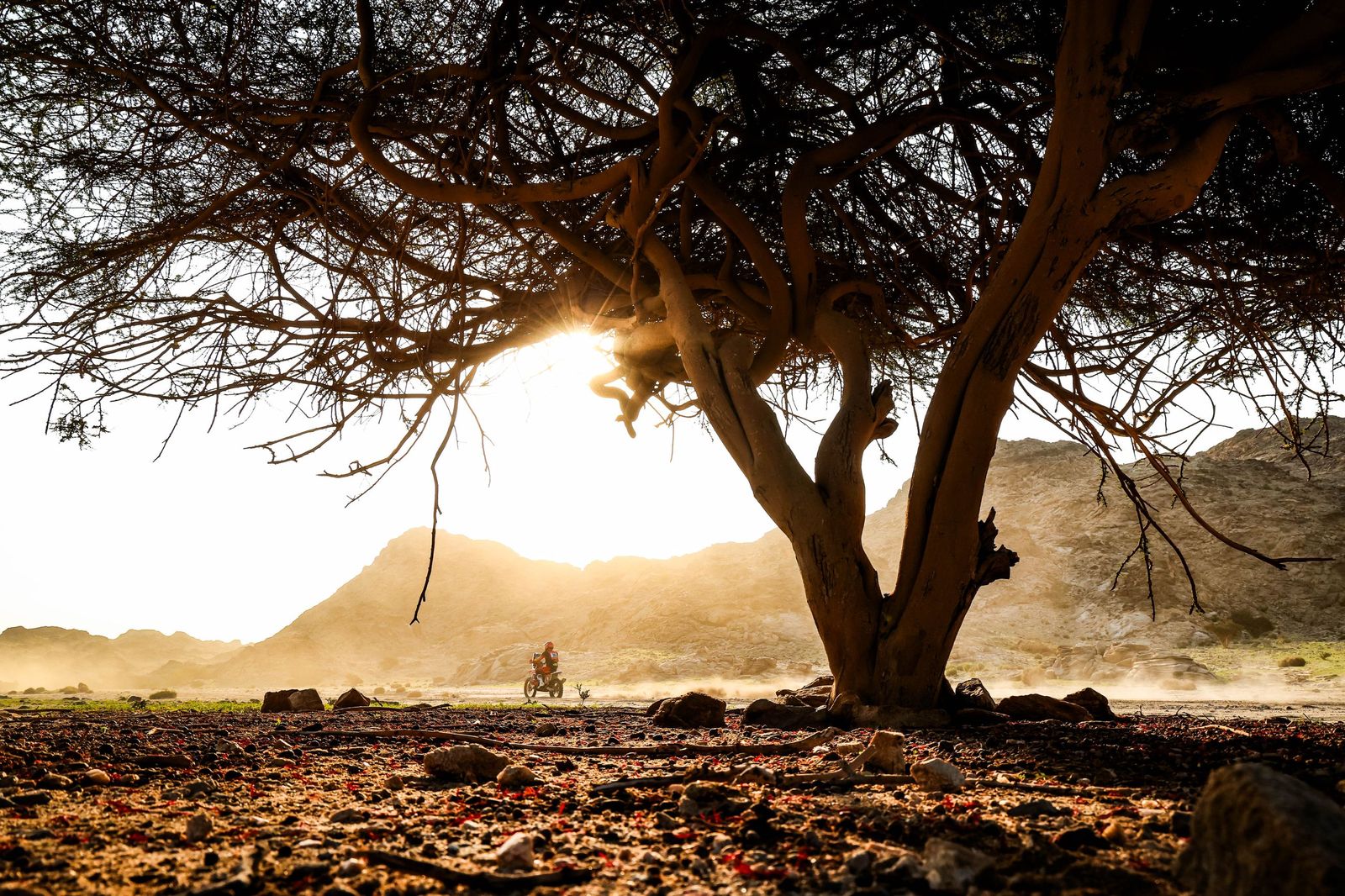 Las mejores fotos del Rally Dakar | Primera etapa