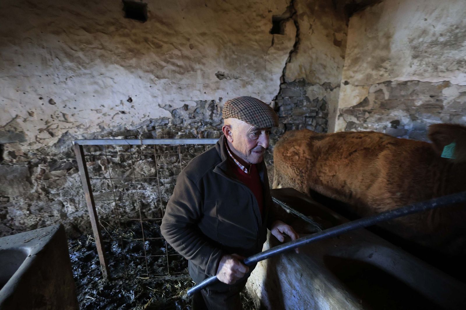 Las fotografías de la ganadería de Luis Benítez en Tarifa
