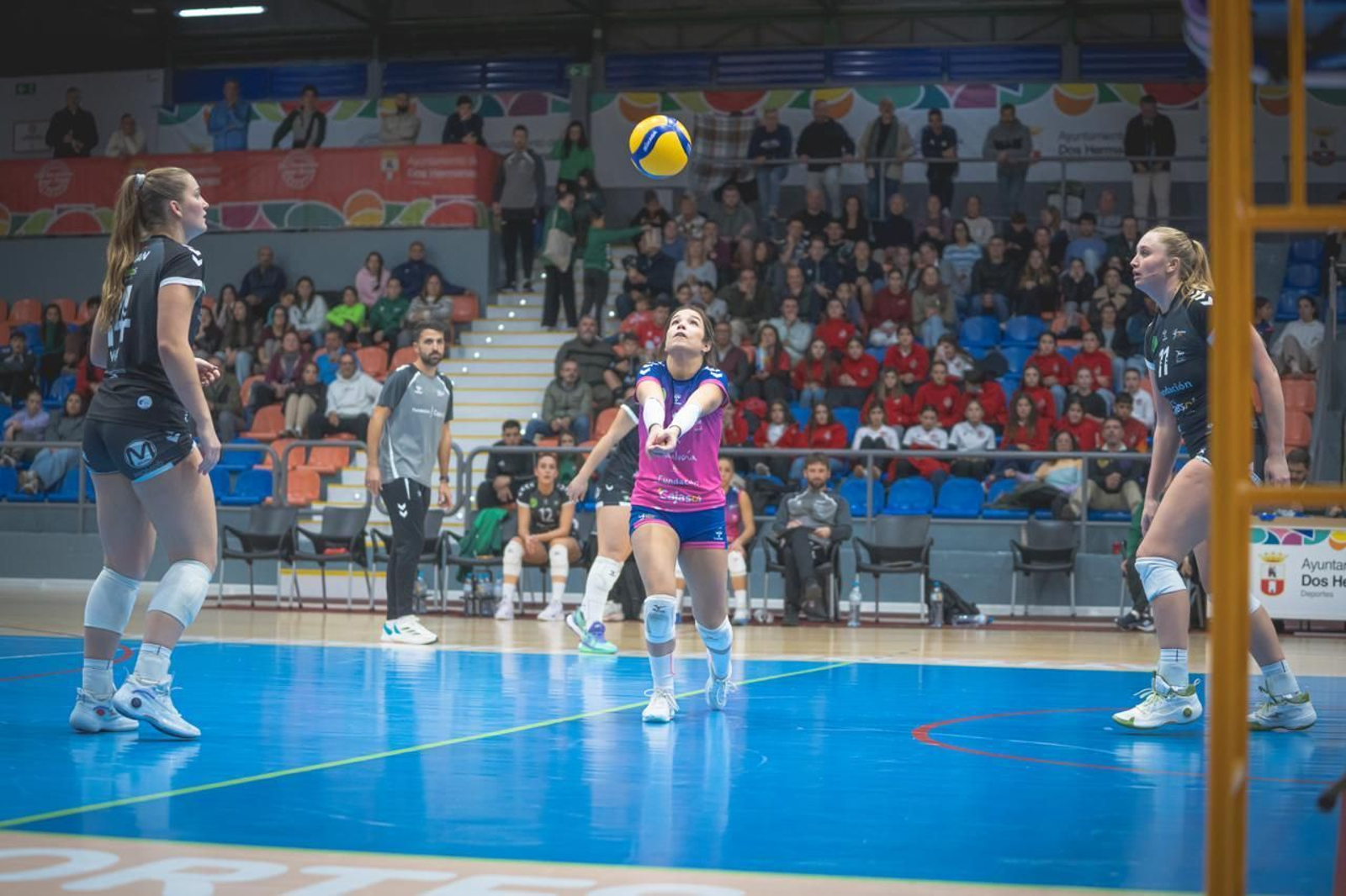 Las fotos del Fundación Cajasol Andalucía-Dynamo Apeldoorn