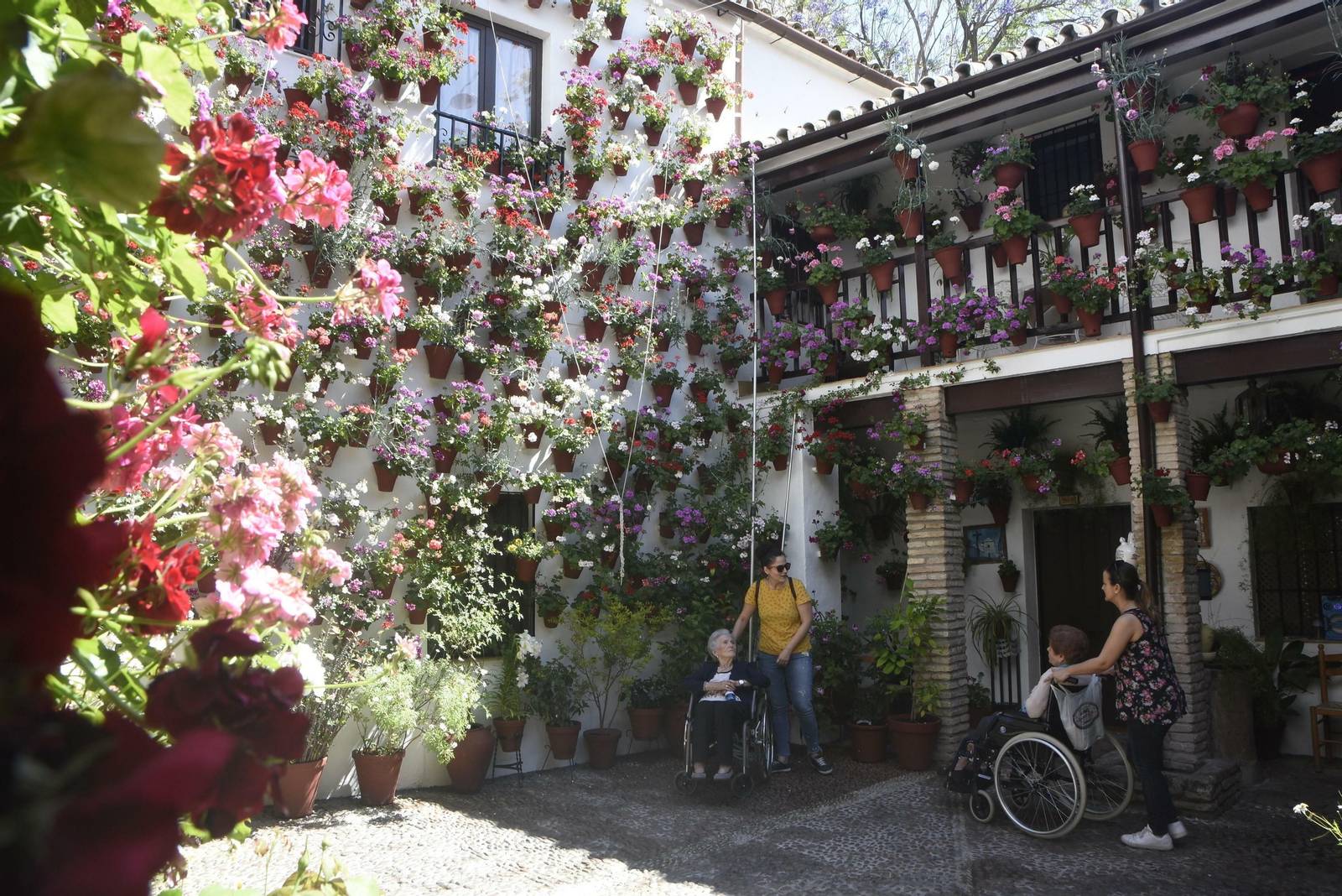 En imágenes: la ruta de los Patios del Alcázar Viejo