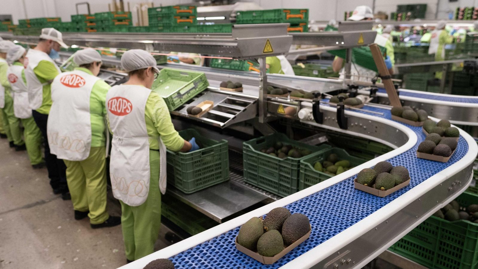 Cadena final de envasado para el envío a tienda.