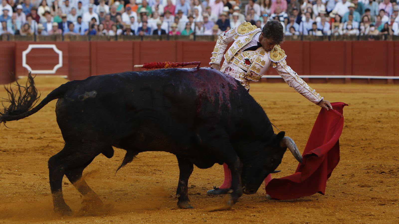 El gerenense también dejó bonitas estampas con la muleta.
