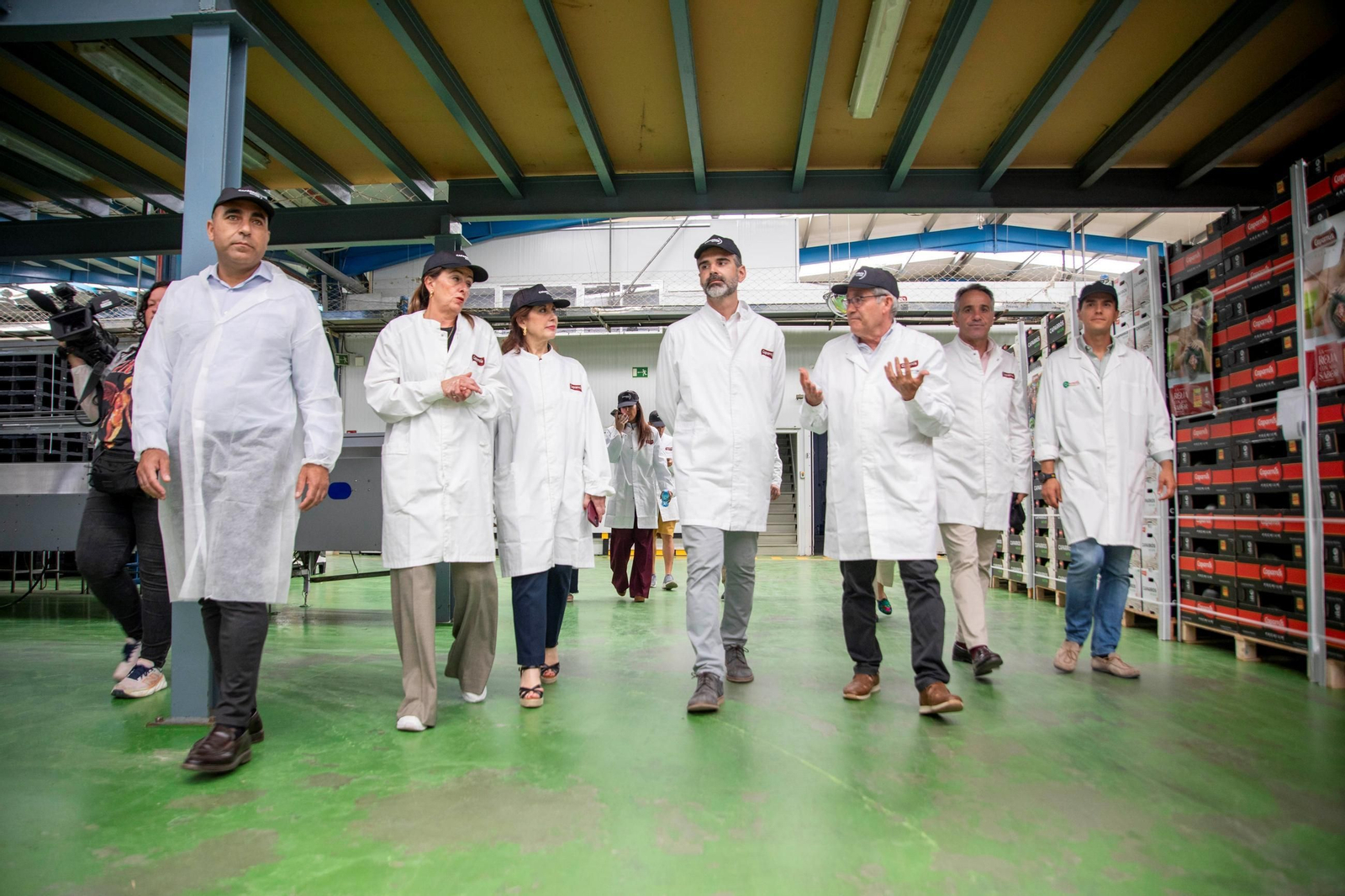 Vea cómo es el trabajo con las fantásticas sandías Premium en Grupo Caparrós