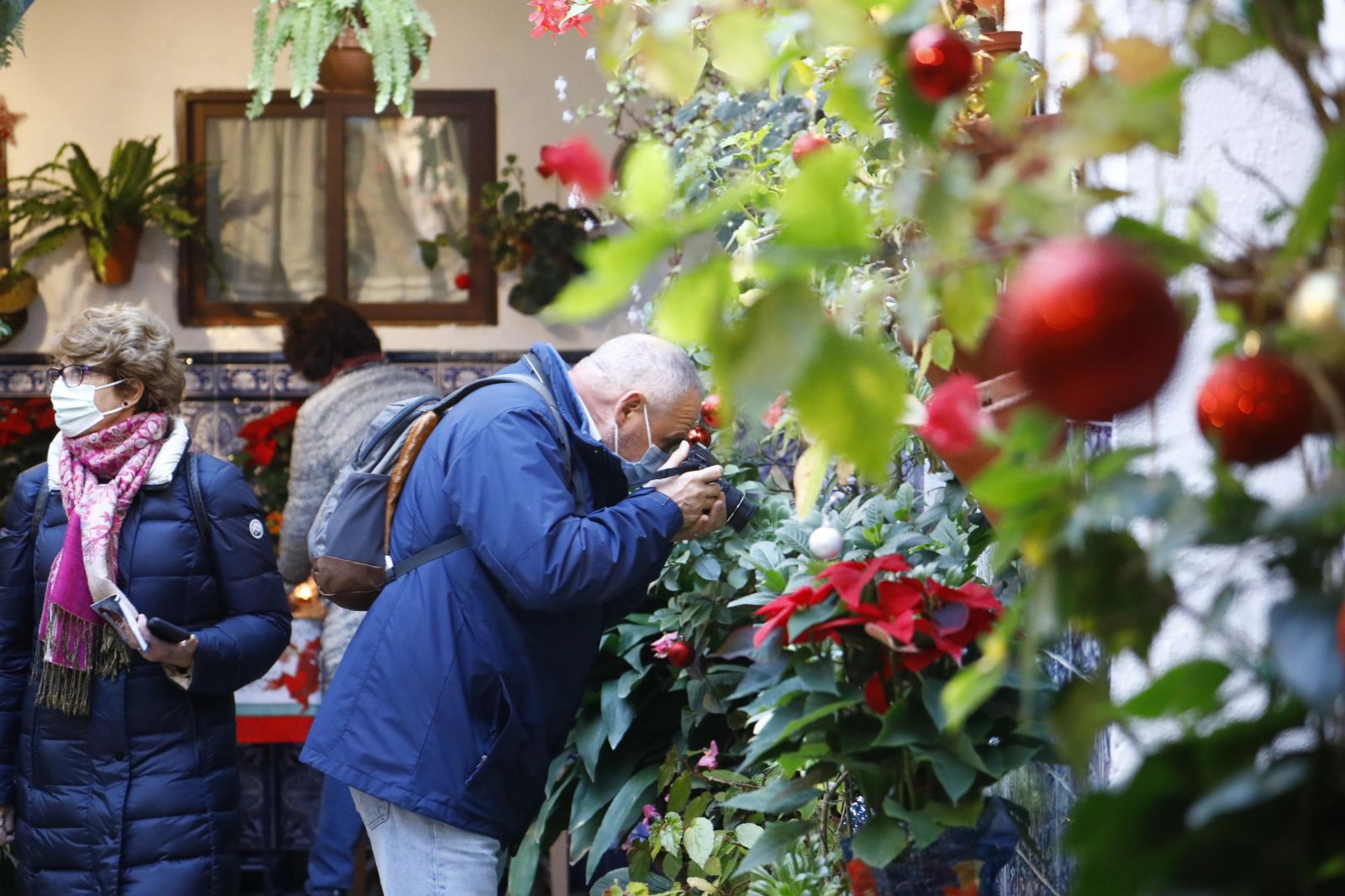 Las fotografías de los Patios de Córdoba en Navidad