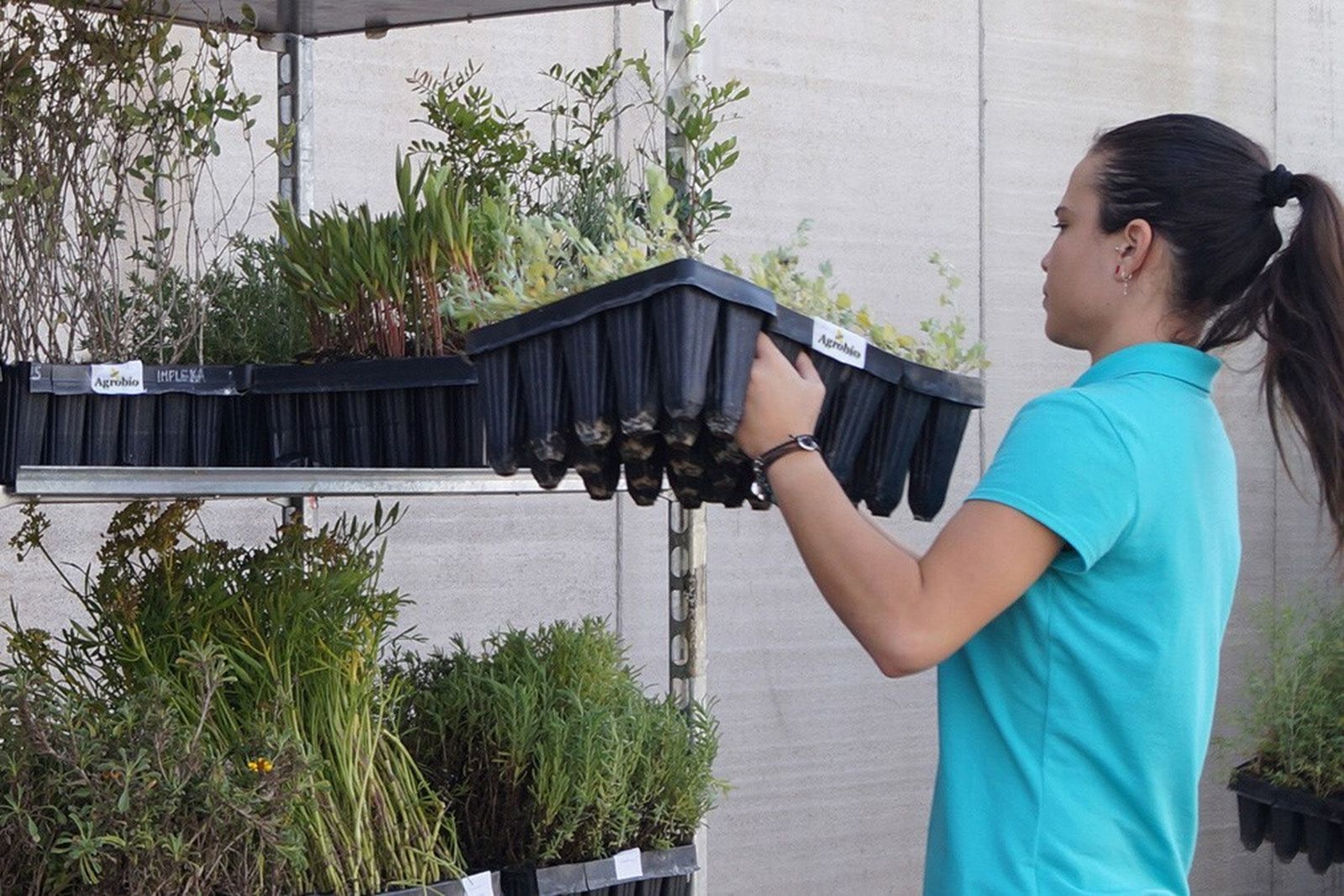 Setos de Agrobío para el control conservativo