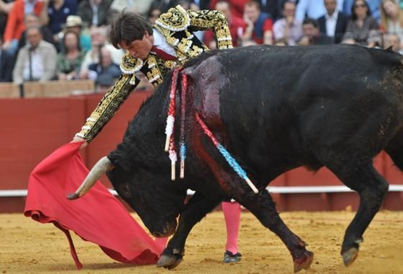 Una tarde emotiva de brindis