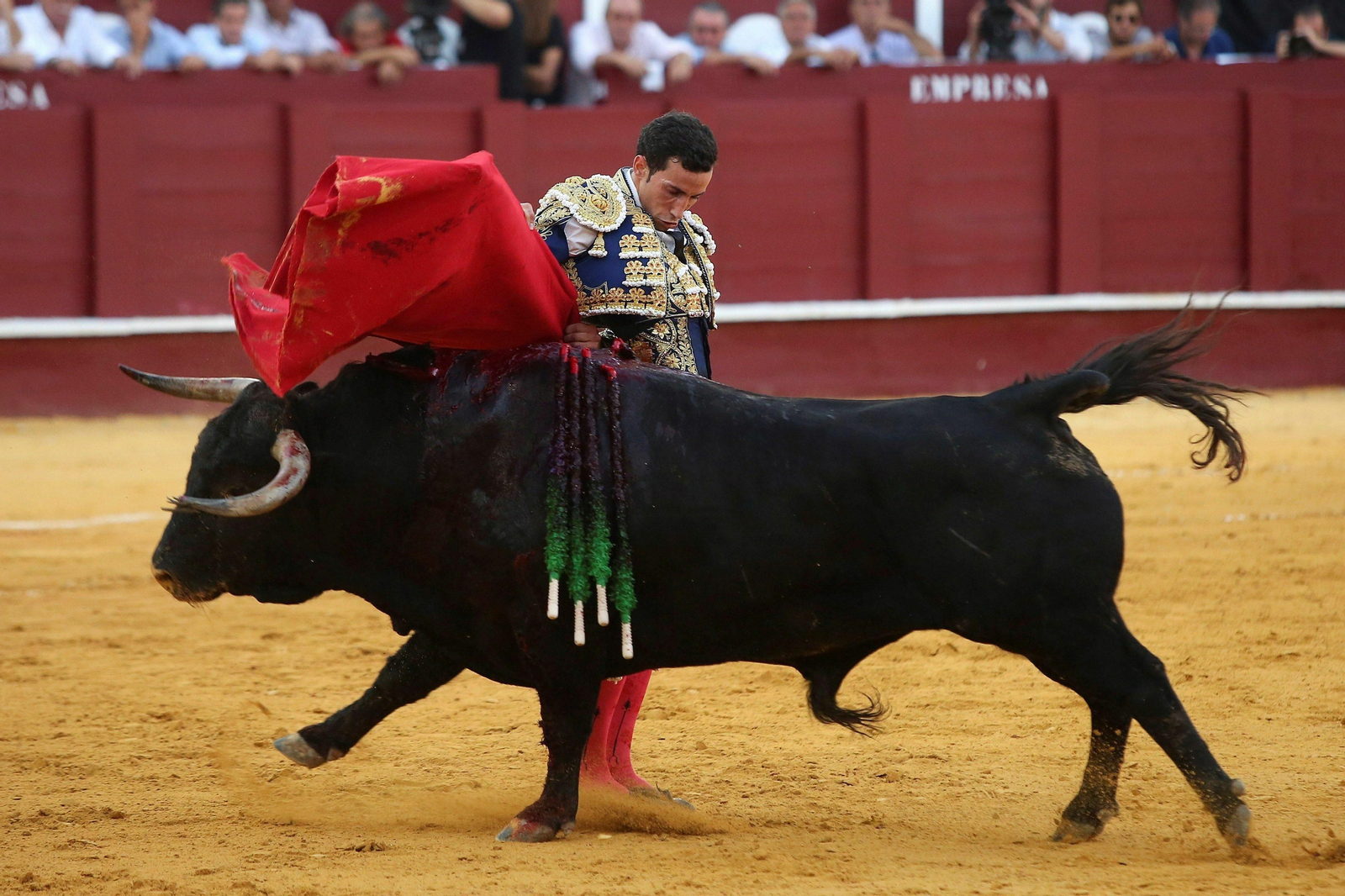 David de Miranda durante su actuación esta tarde en La Malagueta.
