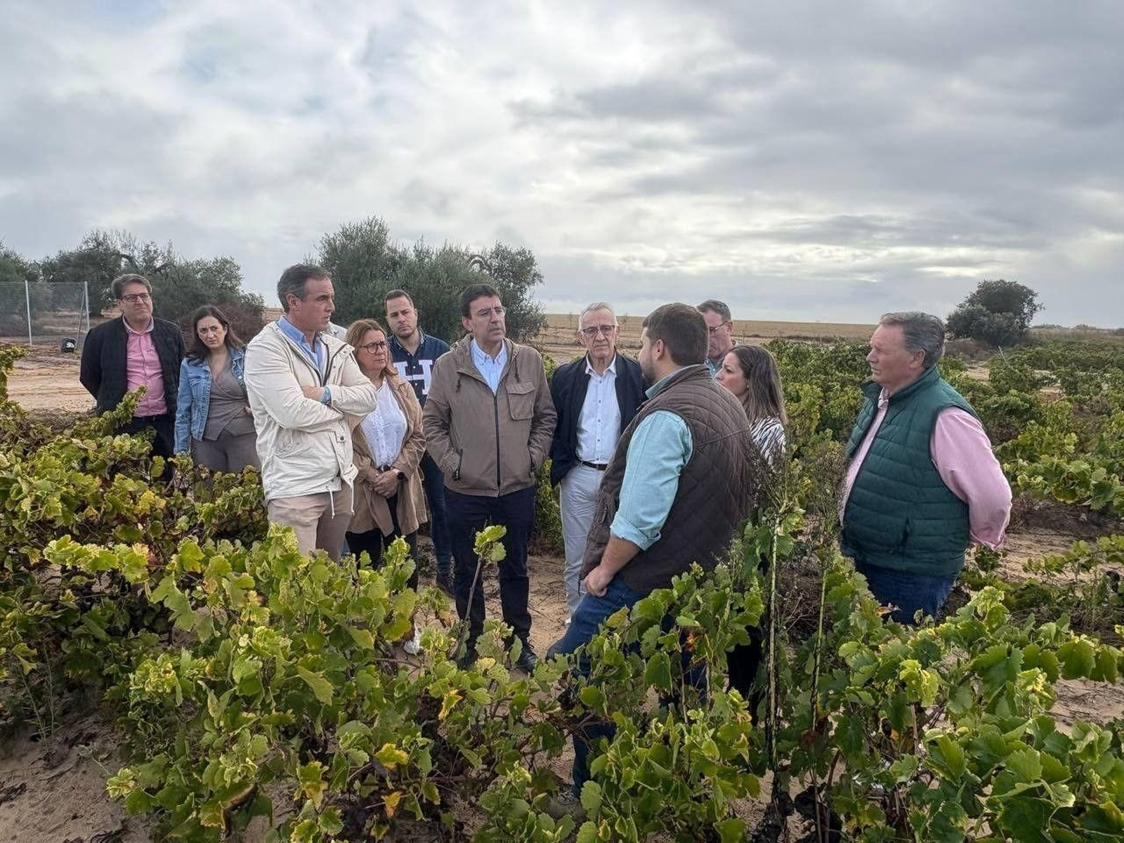 El parlamentario andaluz Mario Jiménez, junto a alcaldes y representantes del PSOE en el Condado, en una visita a una cooperativa de Bollullos Par del Condado. El parlamentario andaluz Mario Jiménez, junto a alcaldes y representantes del PSOE en el Condado, en una visita a una cooperativa de Bollullos Par del Condado.