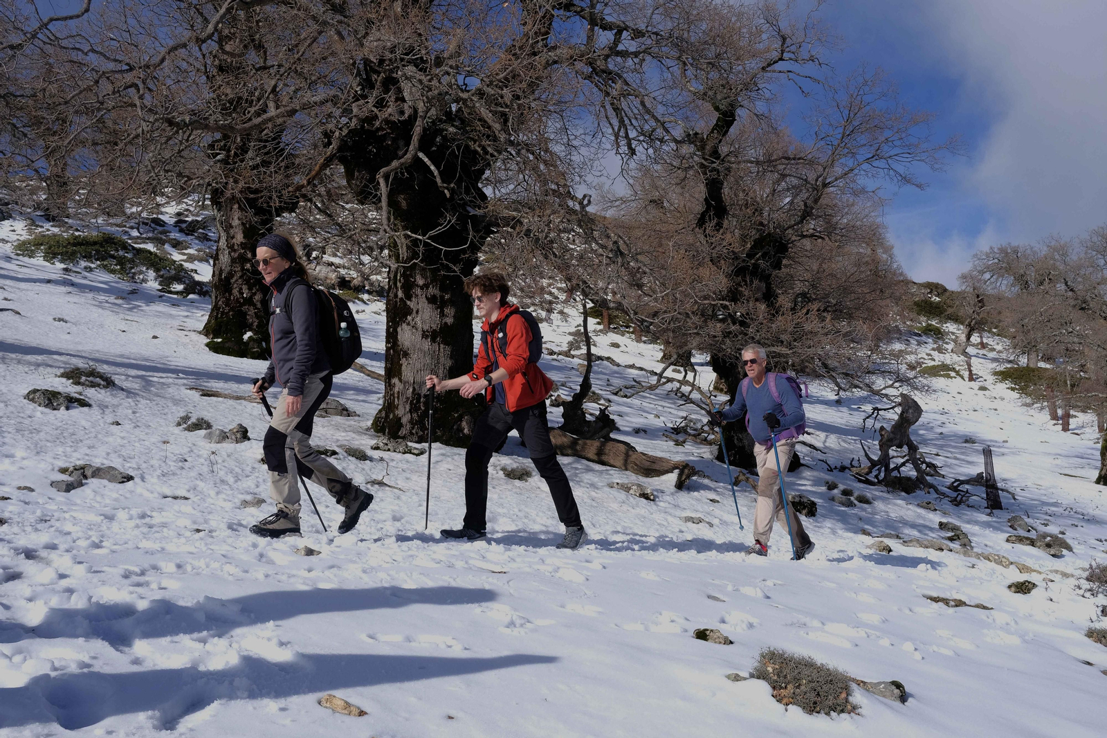El blanco viste el Parque Nacional de la Sierra de las Nieves. El blanco viste el Parque Nacional de la Sierra de las Nieves.