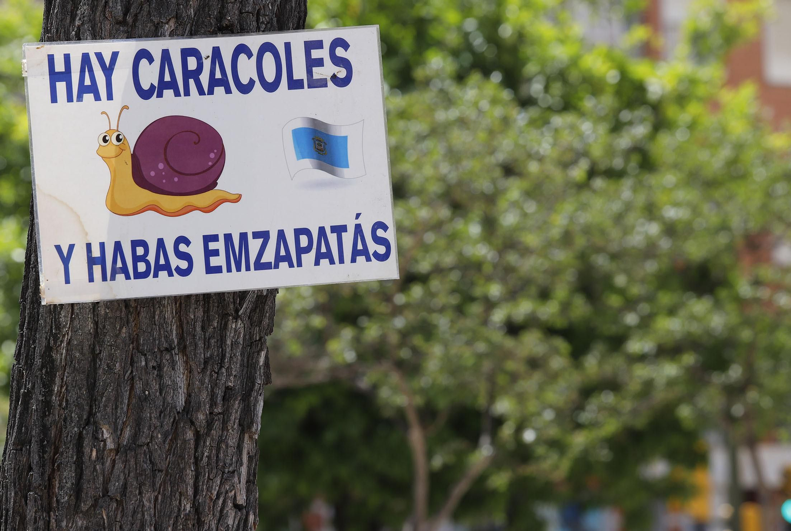 Las imágenes más destacadas del domingo 1 de mayo en Huelva