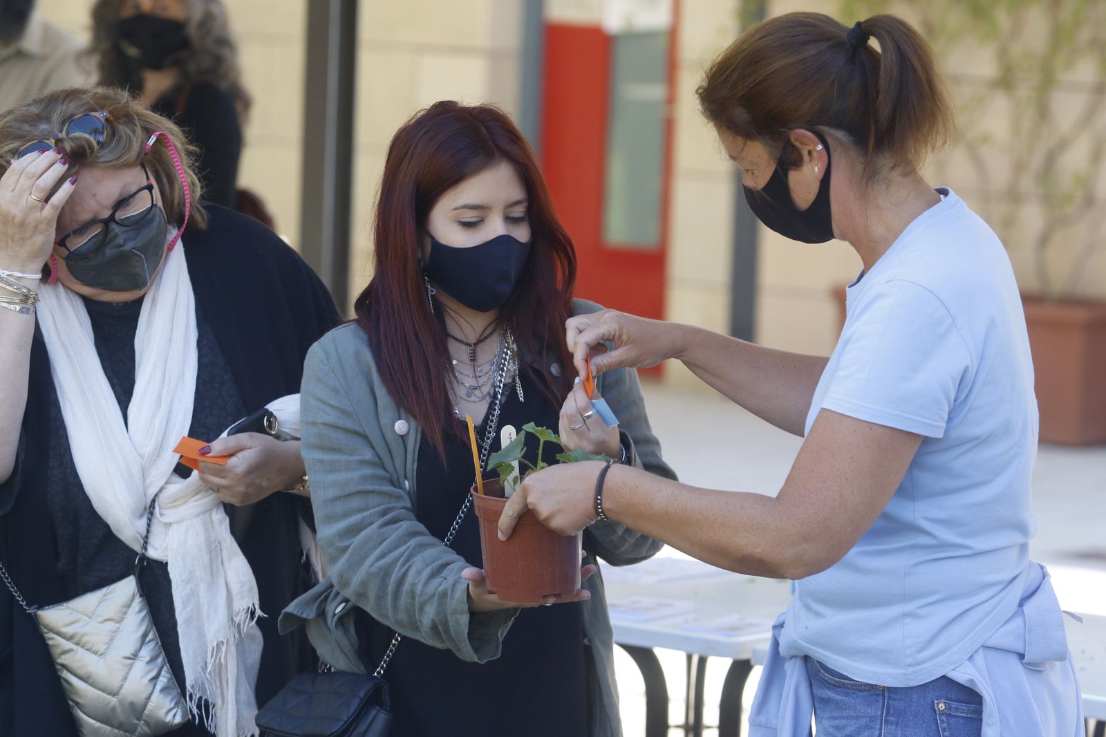 El Mercado de trueque de plantas del Jardín Botánico de Córdoba, en imágenes