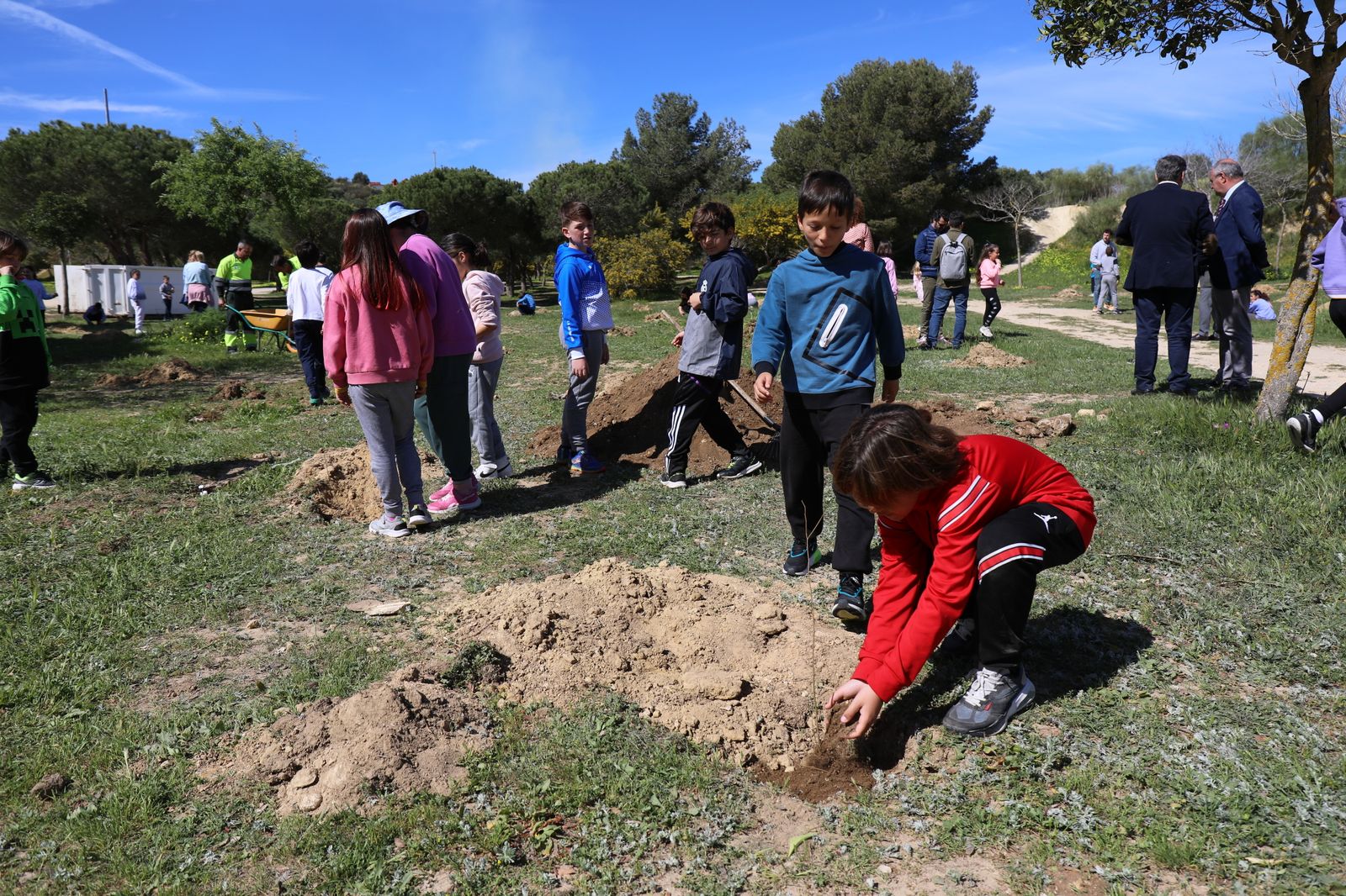 Así ha sido la plantación de árboles en el Cerro por alumnos del colegio Camposoto