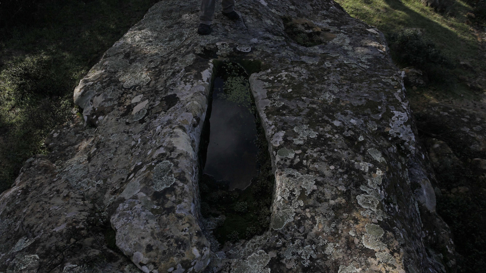 Sendero de la finca Murta en Los Barrios