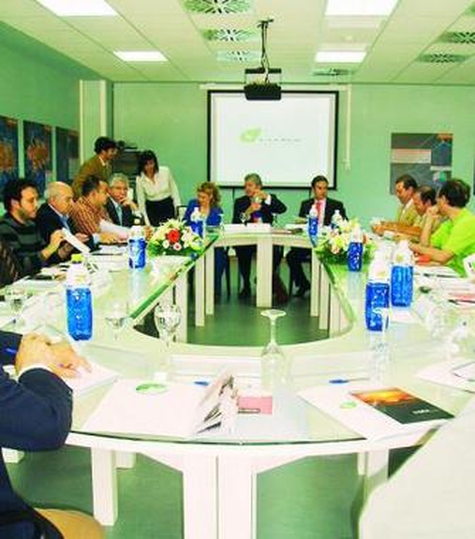 Sesión del Citma celebrada ayer en la localidad lucentina.