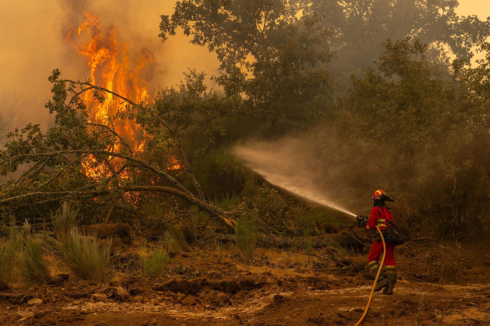 Bomberos actuando contra uno de los fuegos en Ourense.