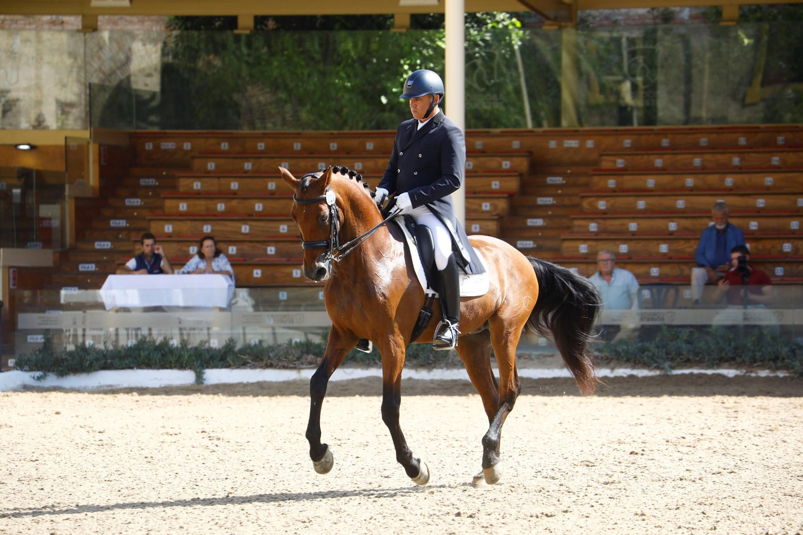 El concurso nacional de Doma Clásica en las Caballerizas Reales de Córdoba