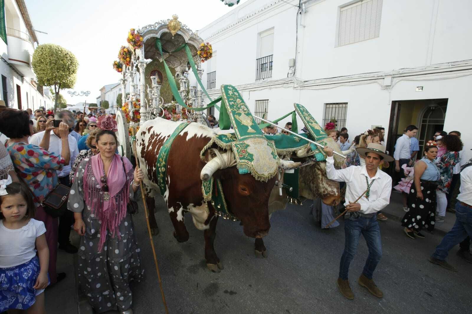 La salida de la Hermandad del Rocío de Pilas, en imágenes