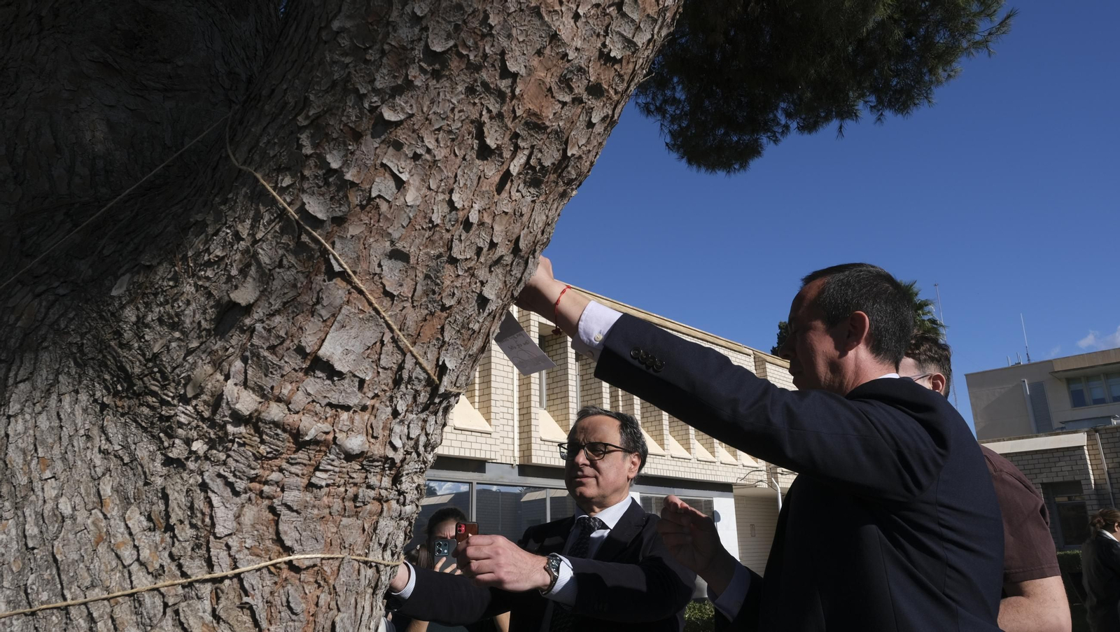 El árbol de la democracia de la Universidad de Almería, en imágenes