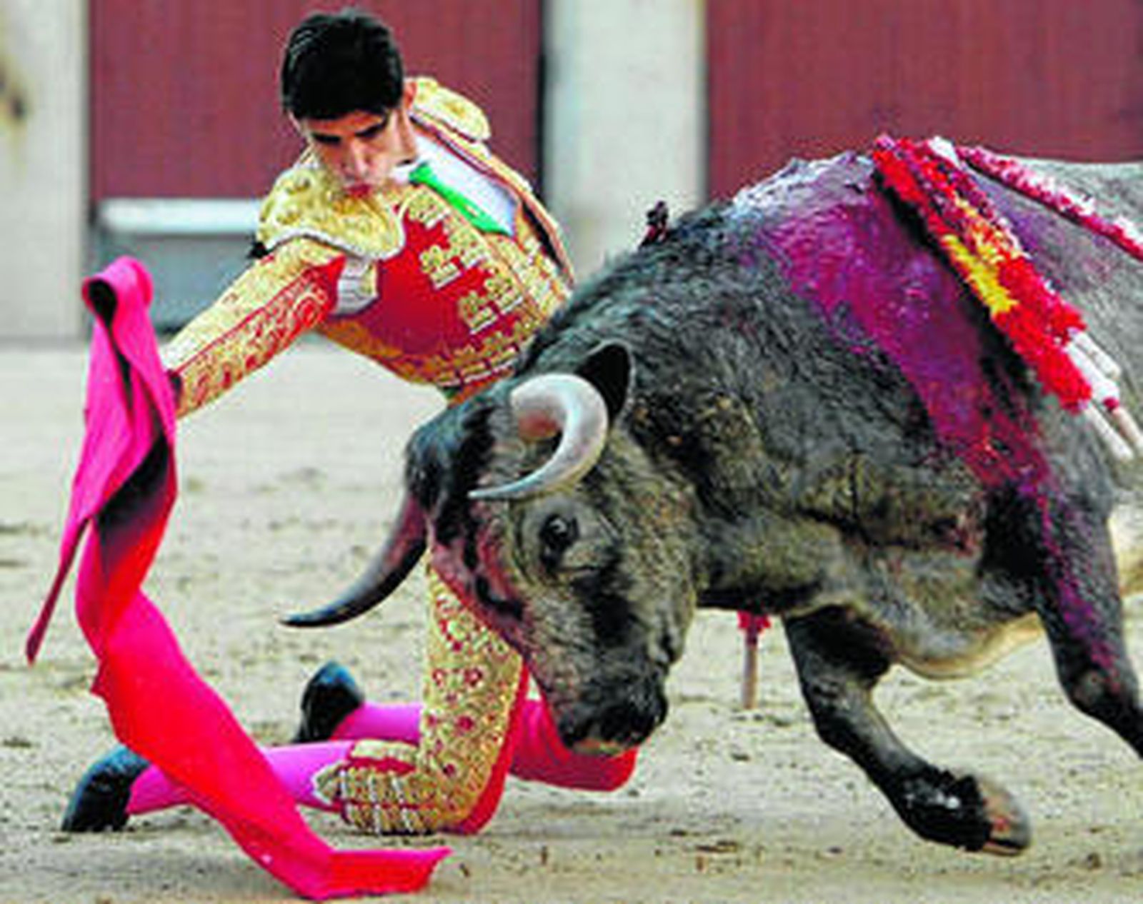 El novillero Víctor Barrio, pasando de muleta de rodillas a su primer novillo de Rehuelga, ayer en Madrid.