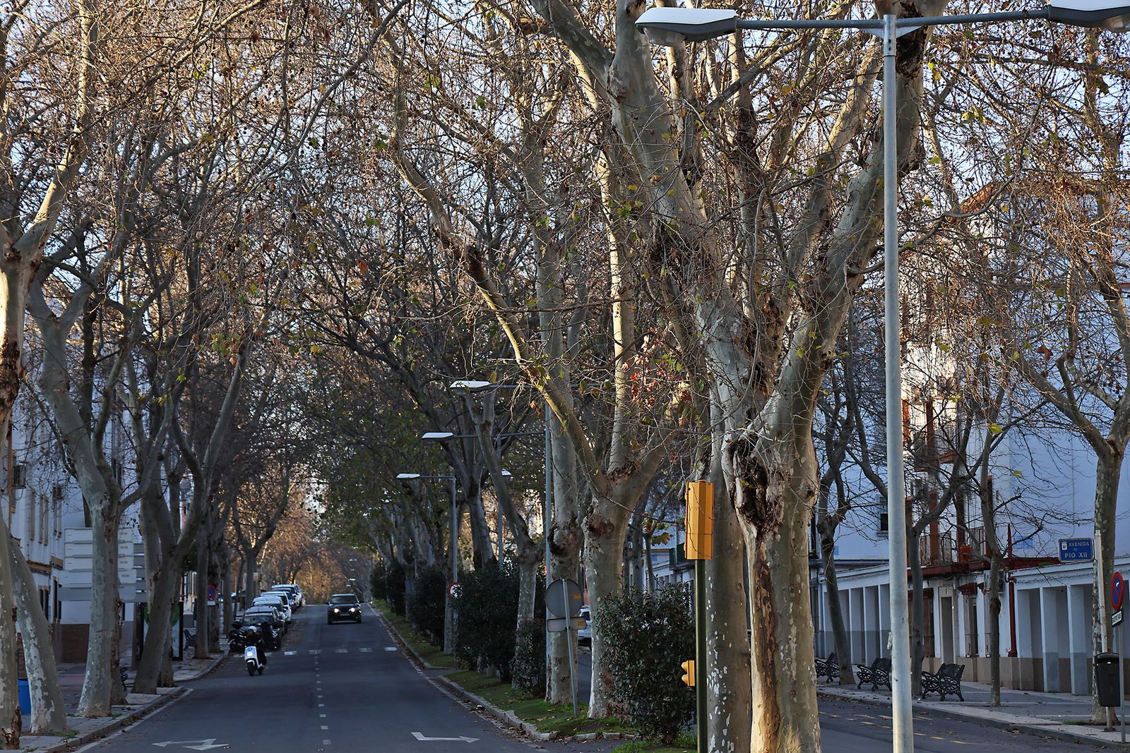 Las fotografías del sábado en Huelva