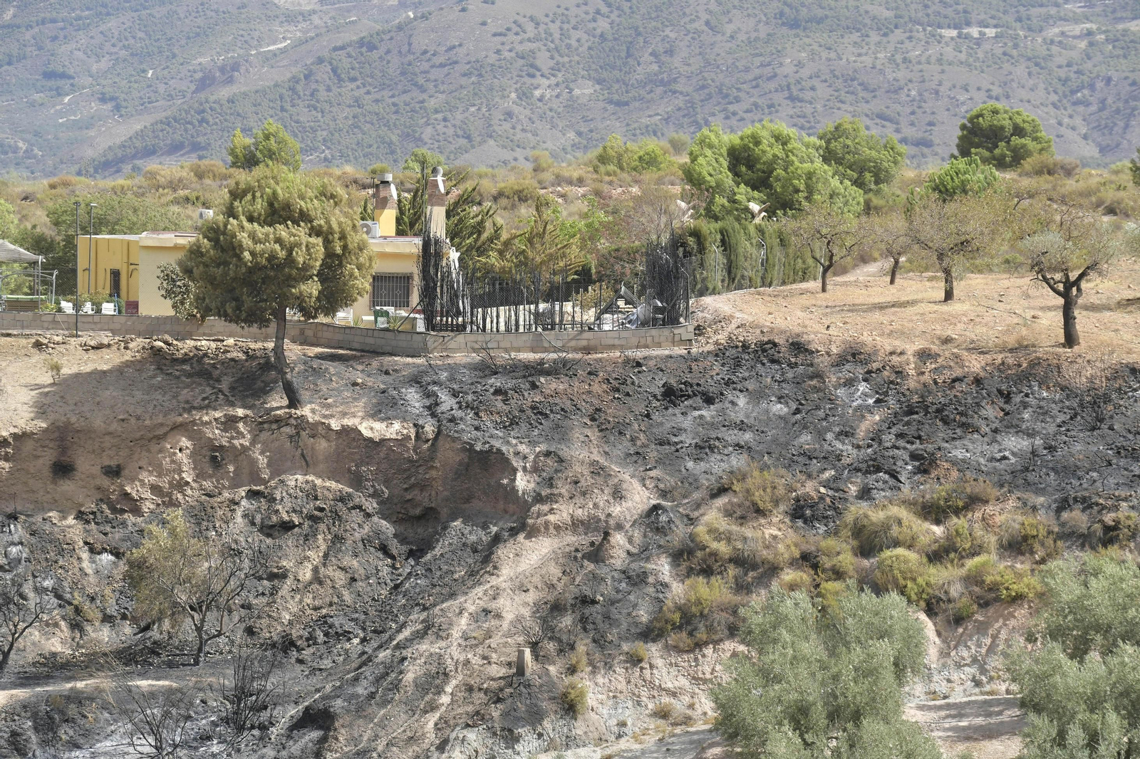 Las imágenes del incendio de Granada que causa terror en la provincia