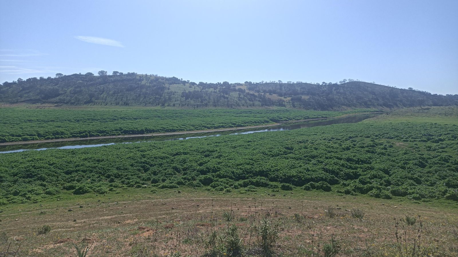 Los Lagos del Serrano.