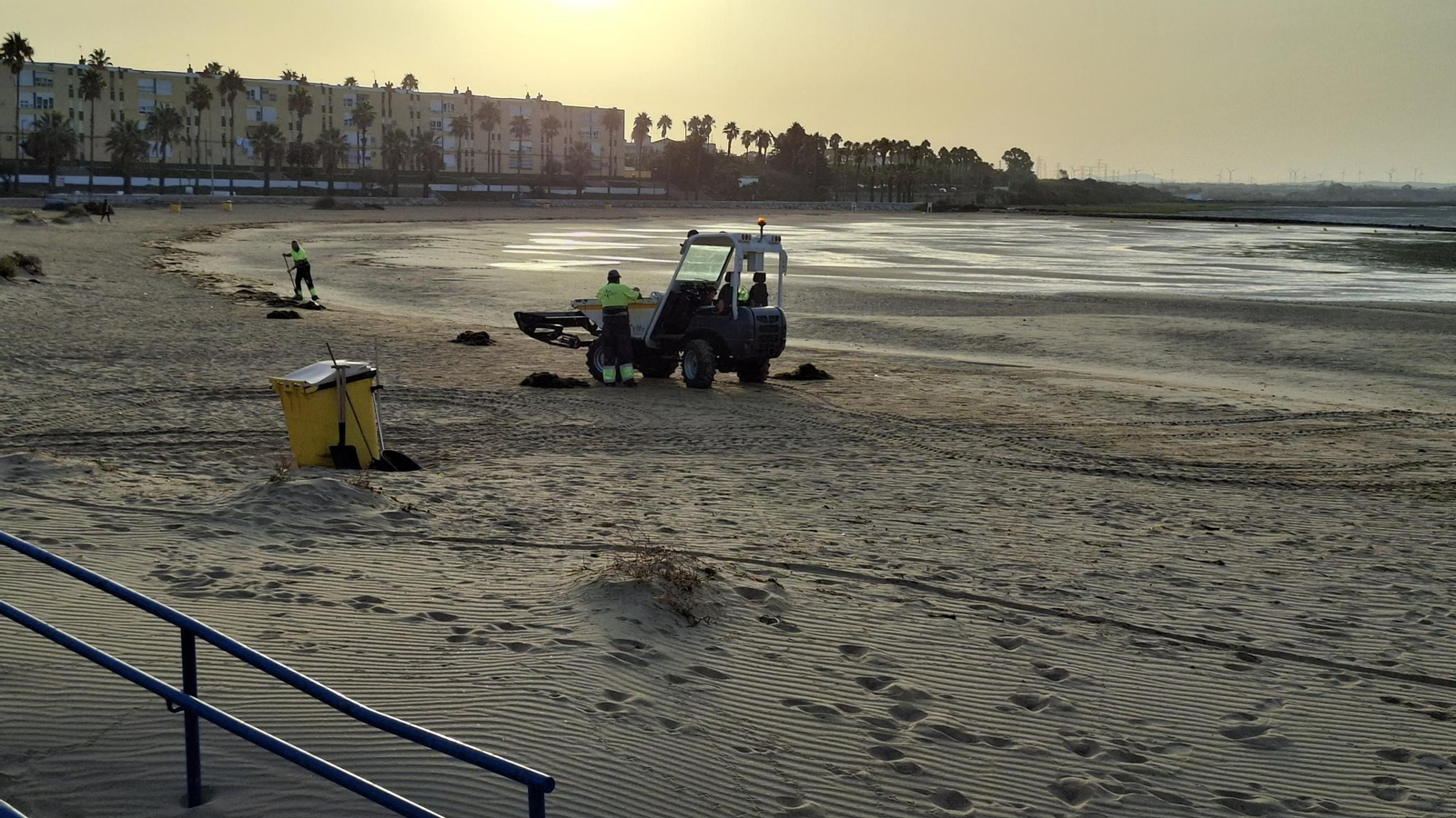 Trabajos de limpieza en la Playa de La Cachucha de Puerto Real