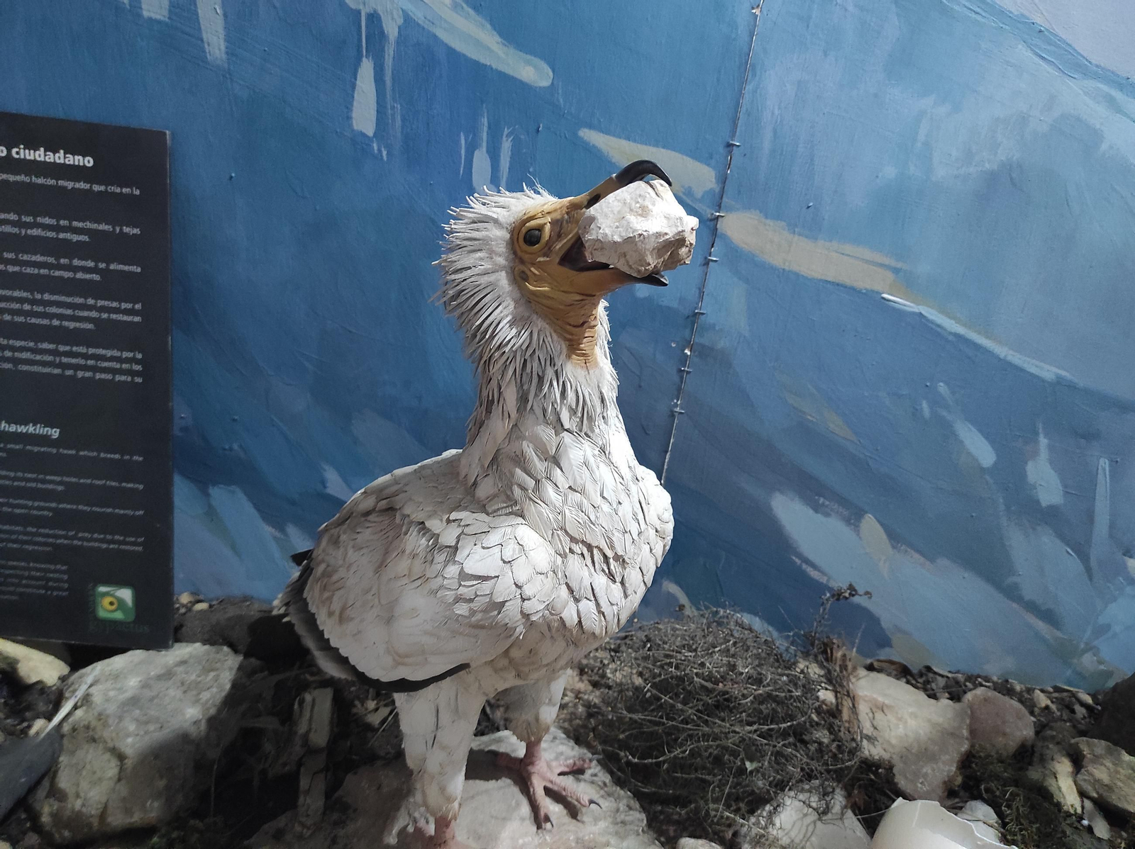 'Frondosa Naturaleza': el lugar perfecto para conocer la fauna y flora de Cazorla a dos pasos del centro
