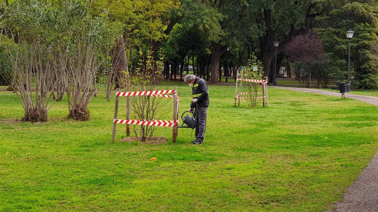 Riego de plantas en el Parque de los Príncipes.
