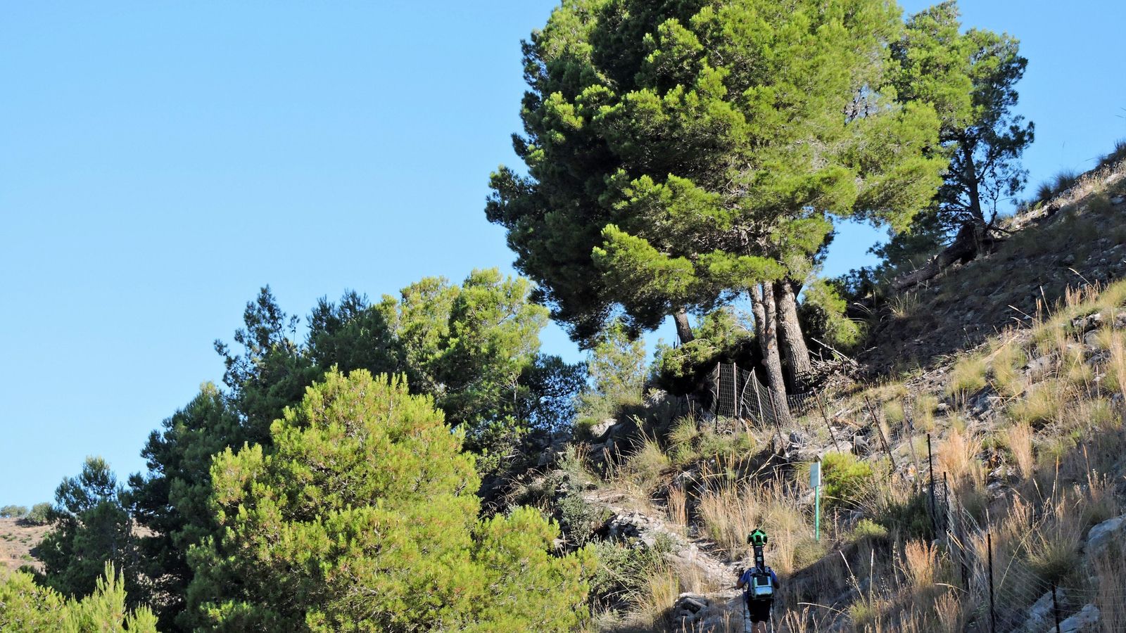 Las subidas serán leves.