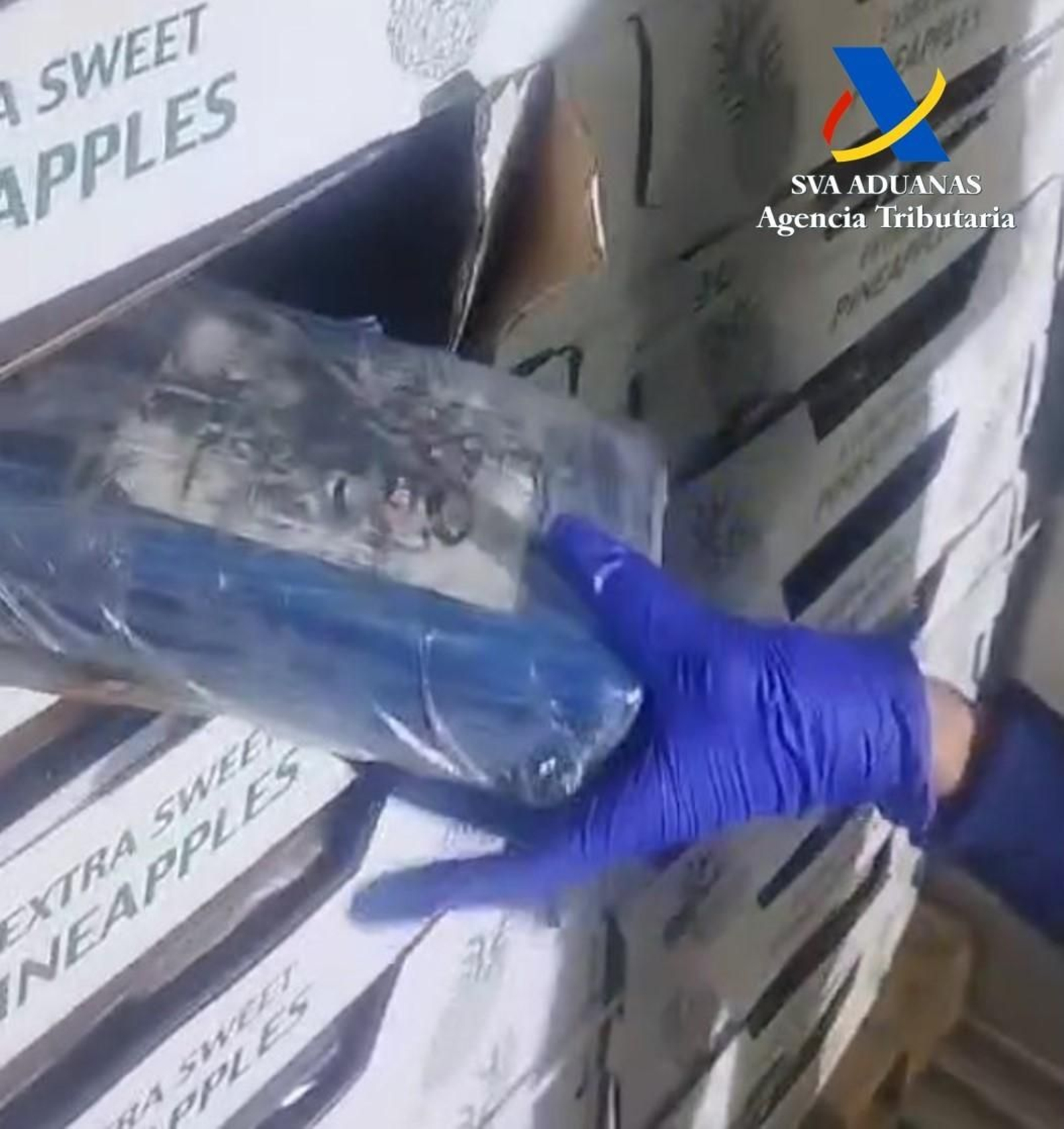 Intervenida en el puerto de Algeciras más de una tonelada de cocaína oculta en un contenedor de piñas procedente de Panamá. Intervenida en el puerto de Algeciras más de una tonelada de cocaína oculta en un contenedor de piñas procedente de Panamá.