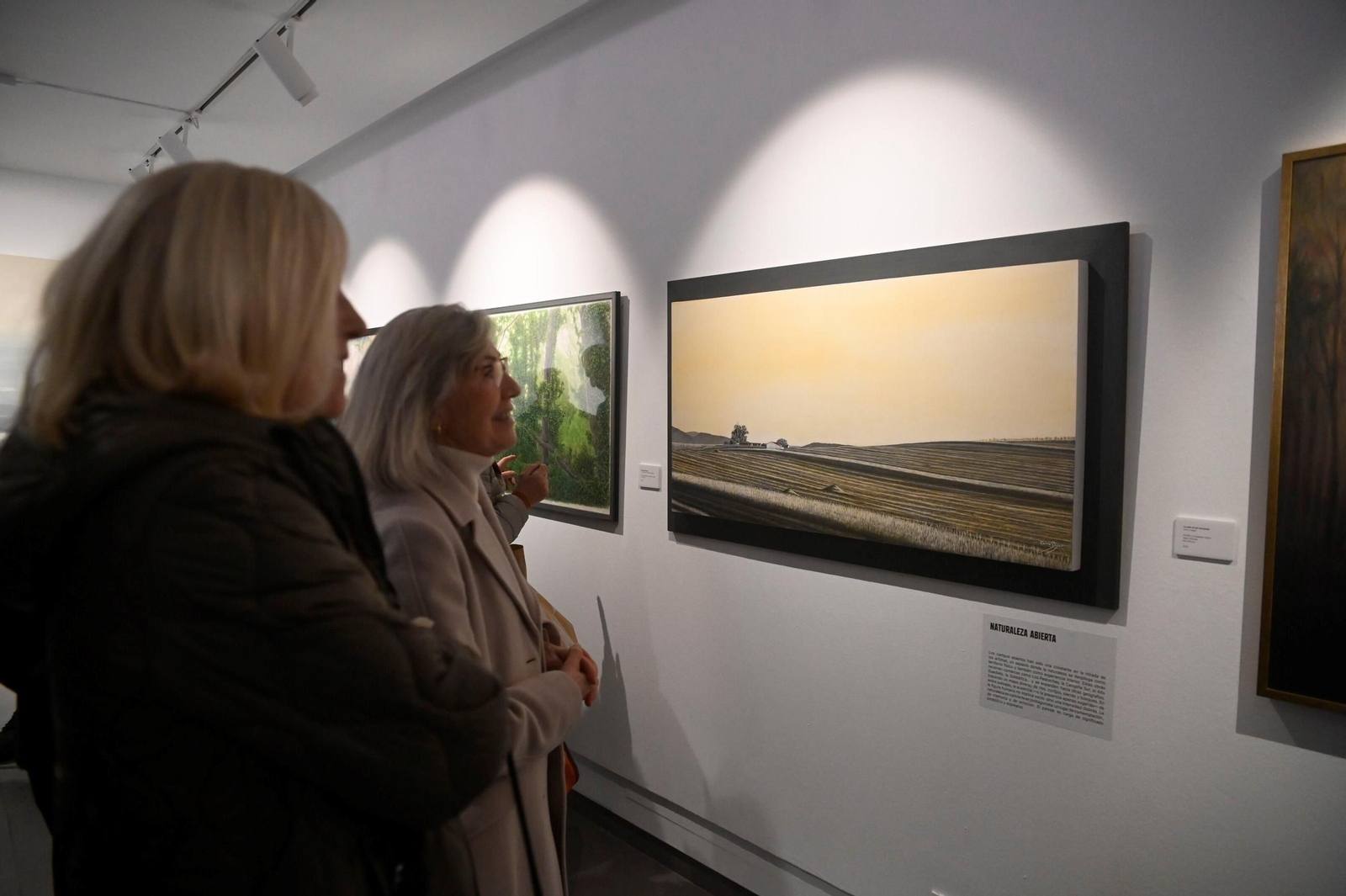 Un paseo en imágenes por la exposición 'Arde el día' del Centro de Arte Rafael Botí de Córdoba