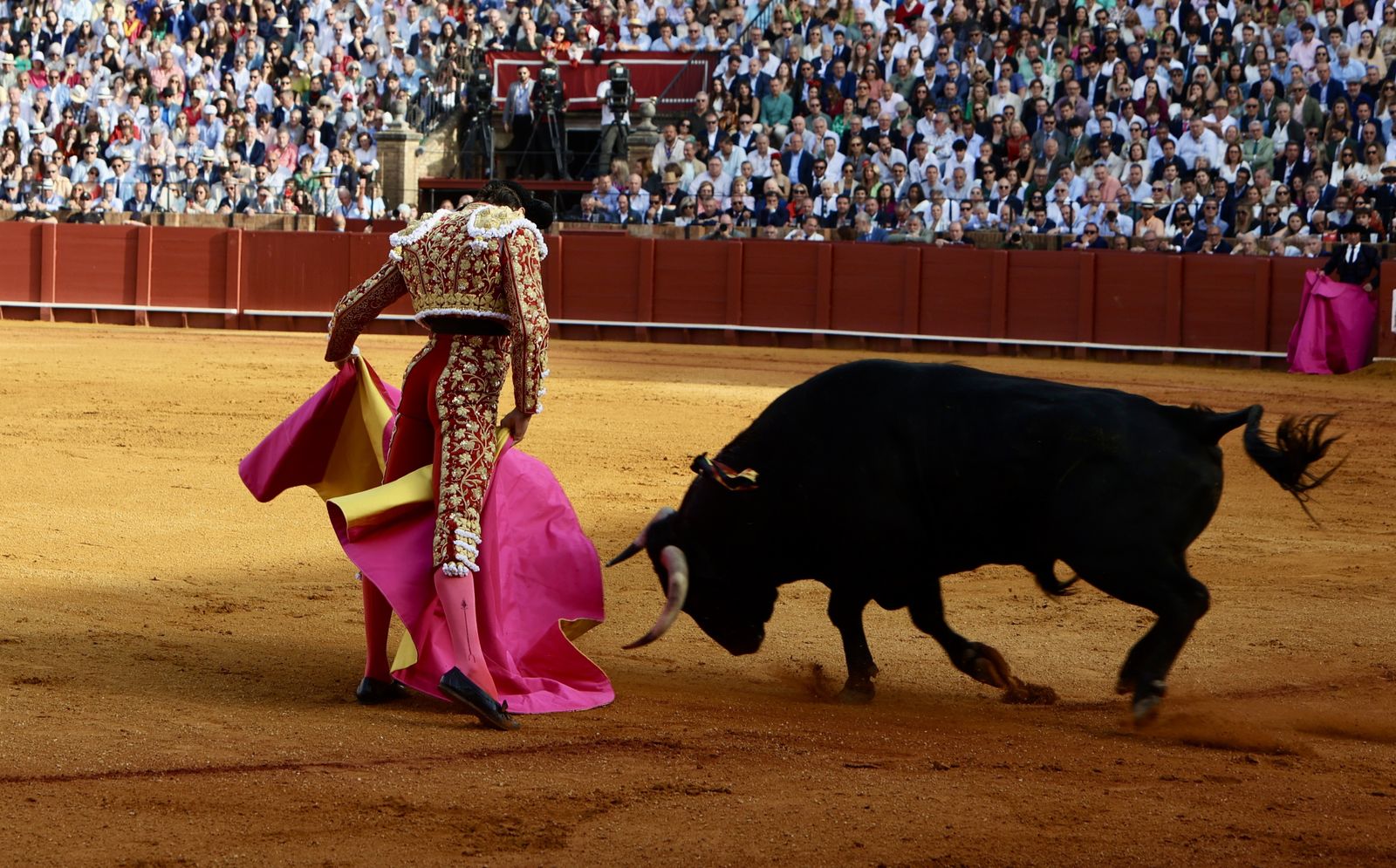 Las mejores imágenes de la corrida de toros de Juan Ortega, Roca Rey y Pablo Aguado