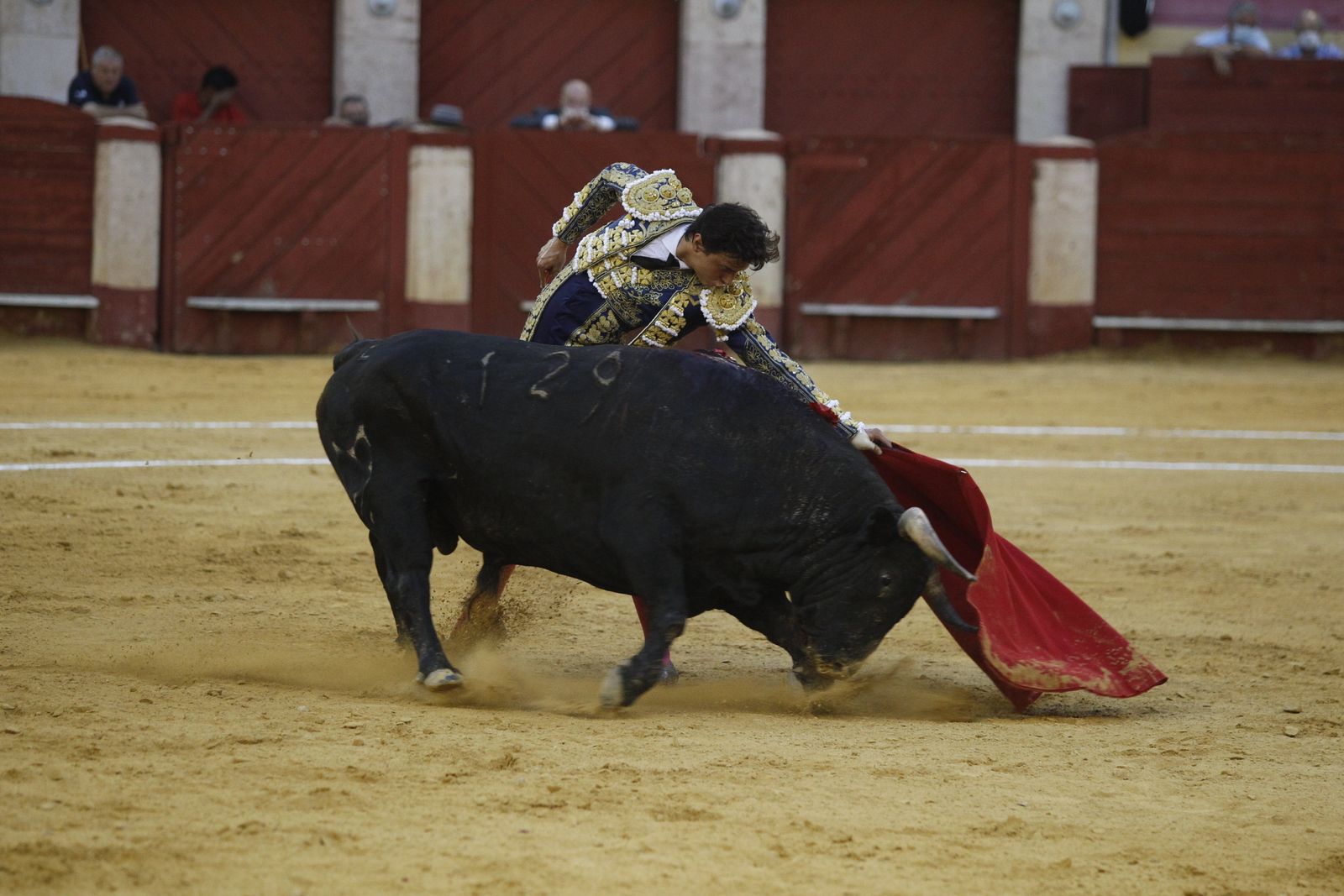 Fotogalería segunda corrida de toros Feria de Almeria 2021