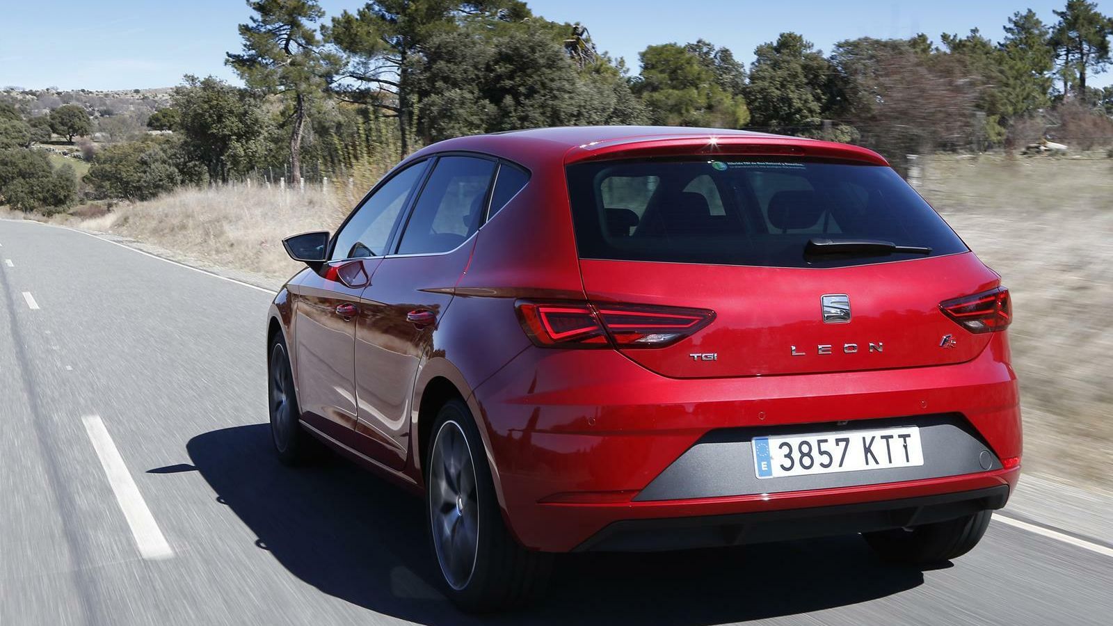 Seat León.