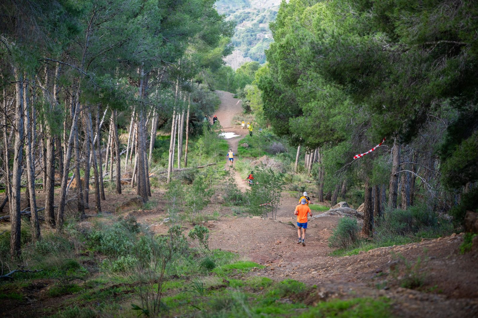 El Trail Montes de Málaga 2026 corona a sus ganadores