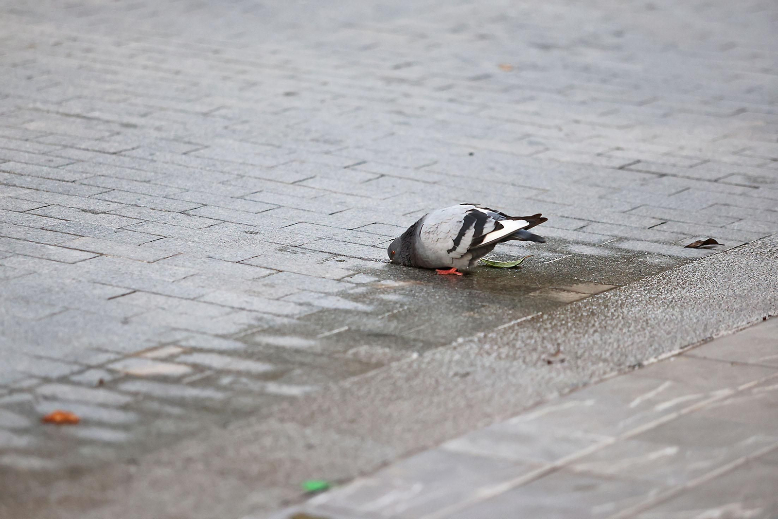 Las imágenes más destacadas del miércoles 16 de octubre en Huelva
