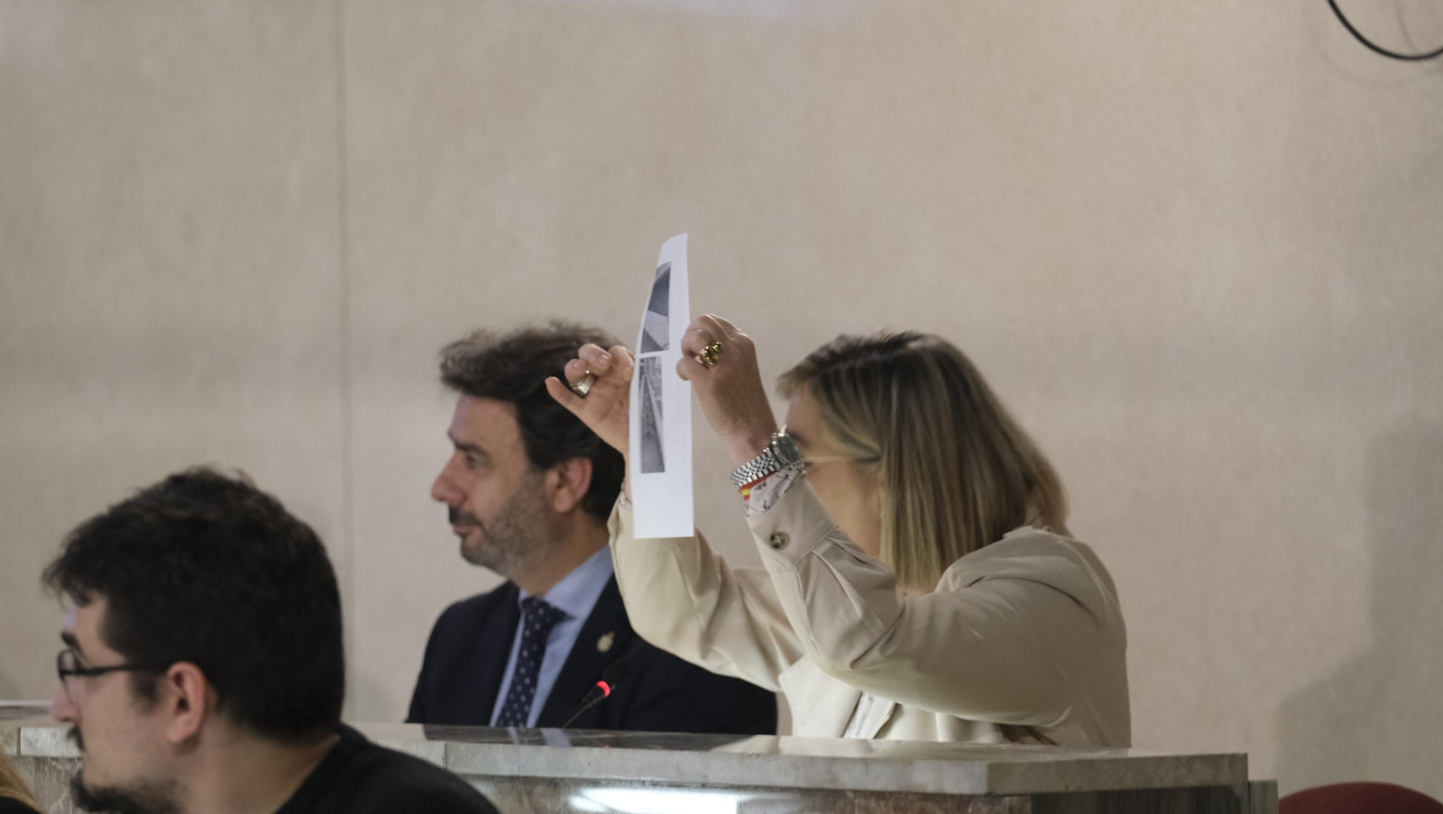 Imágenes del pleno ordinario del Ayuntamiento de Almería