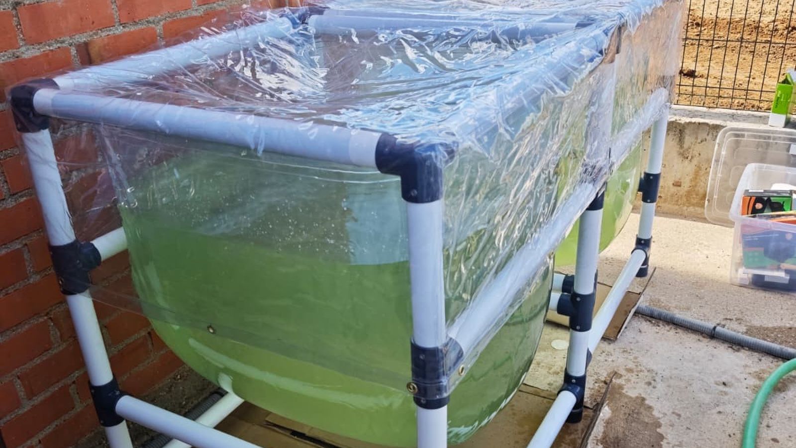 Un totorreactor para el cultivo de microalgas.