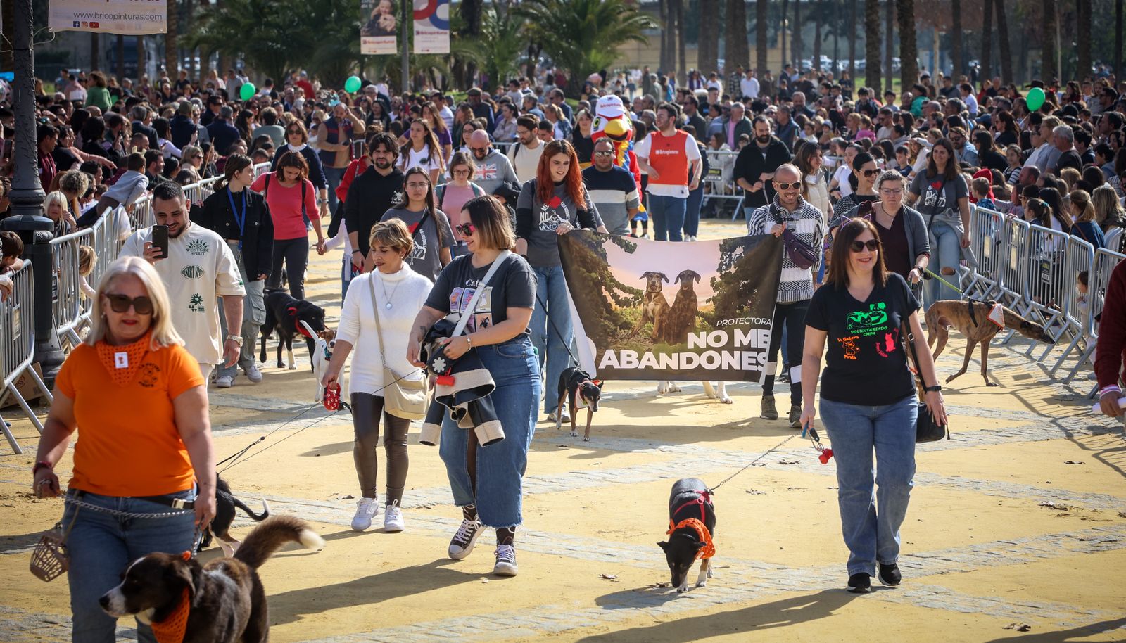 Fiesta de san Antón 2024 en Jerez