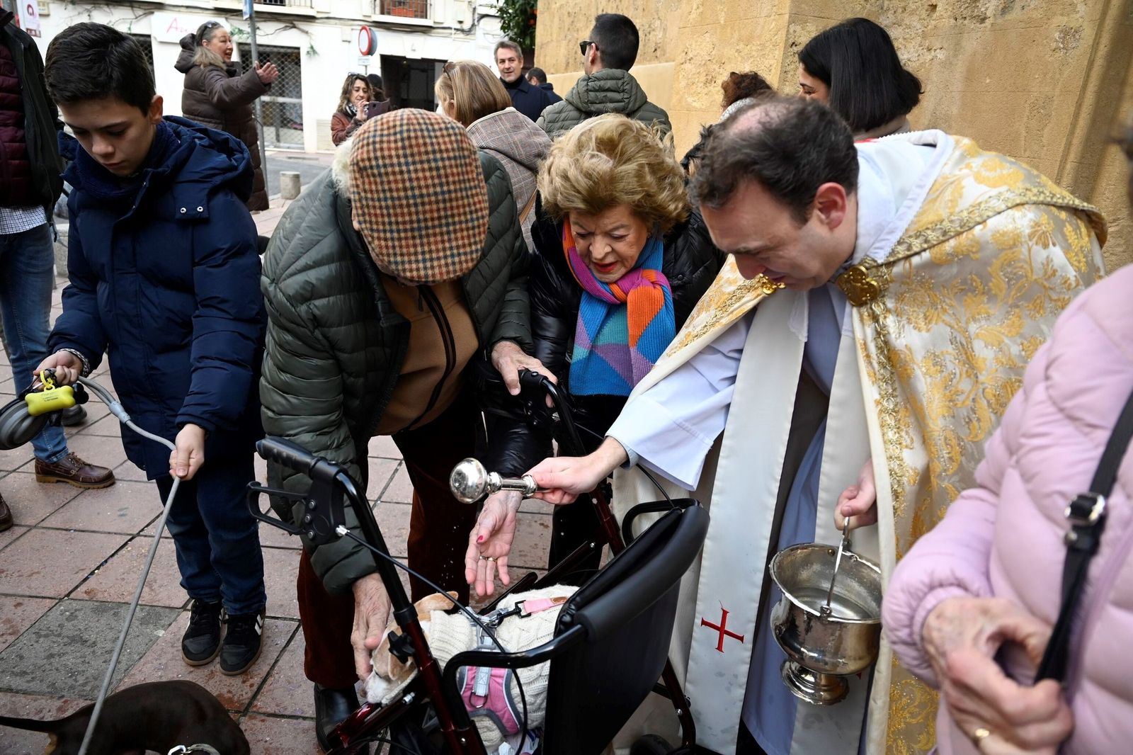 La bendición de animales por San Antón en Córdoba