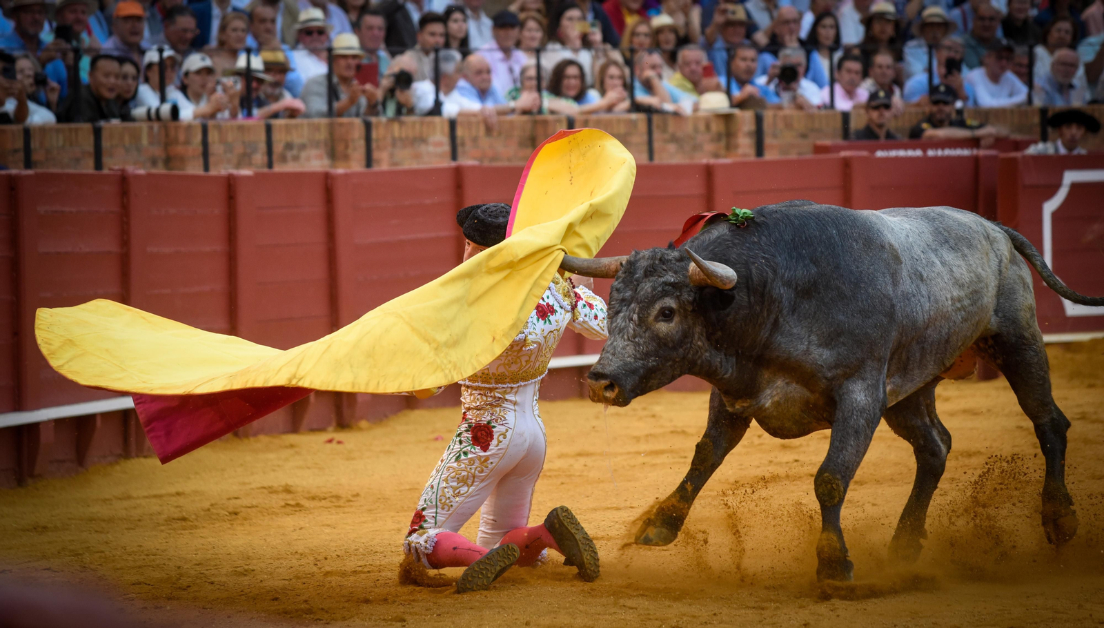 Las imágenes de la corrida de toros de El Fandi, Manuel Escribano y Esaú Fernández