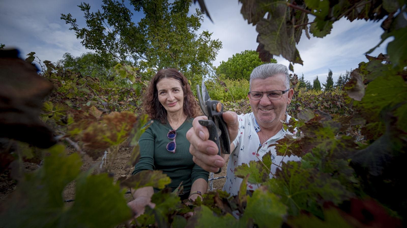 Un bastión de la agricultura ecológica en plena Bahía de Cádiz