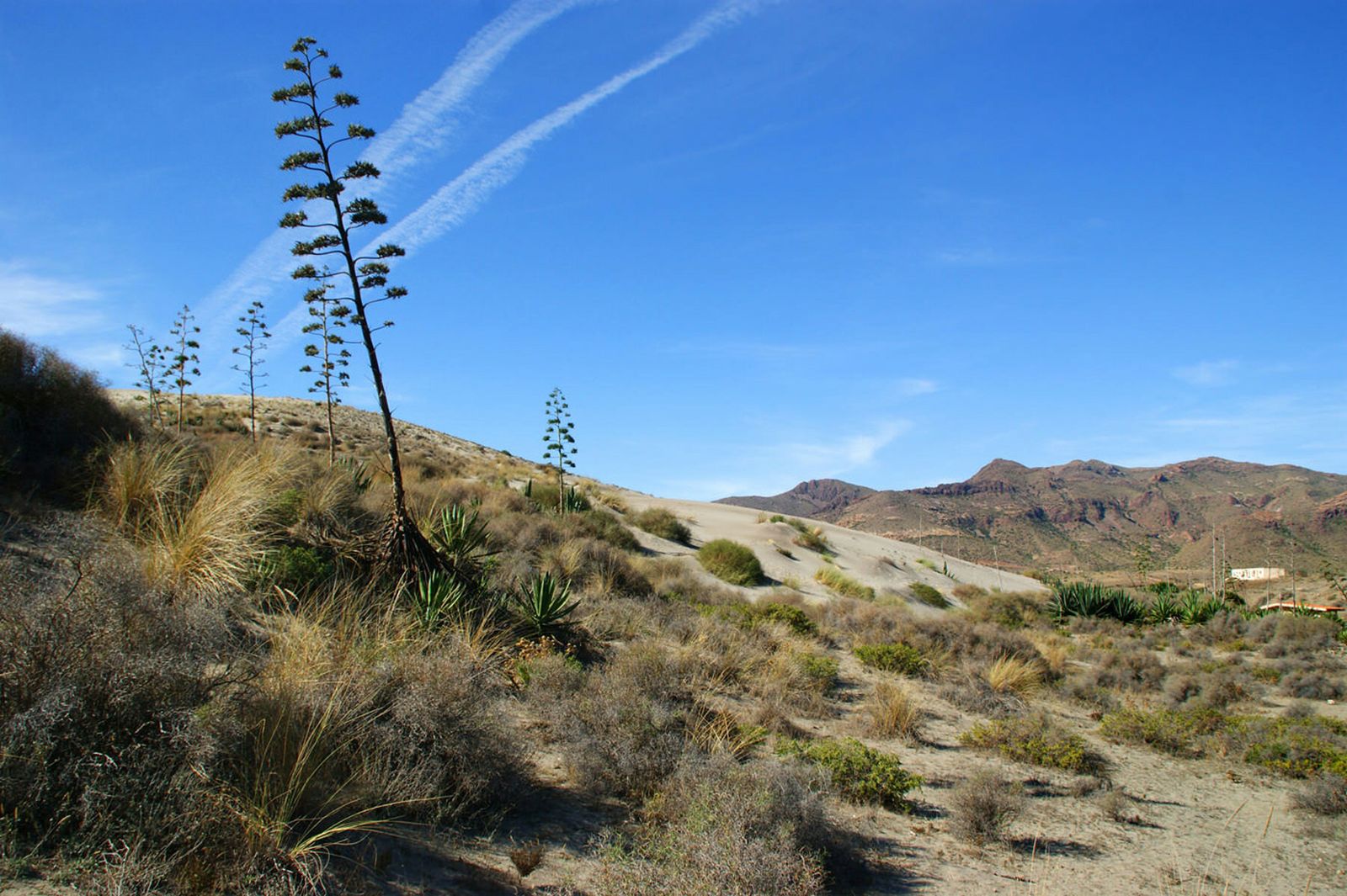 El Parque Cabo Gata-Níjar, modelo para otras áreas marinas protegidas